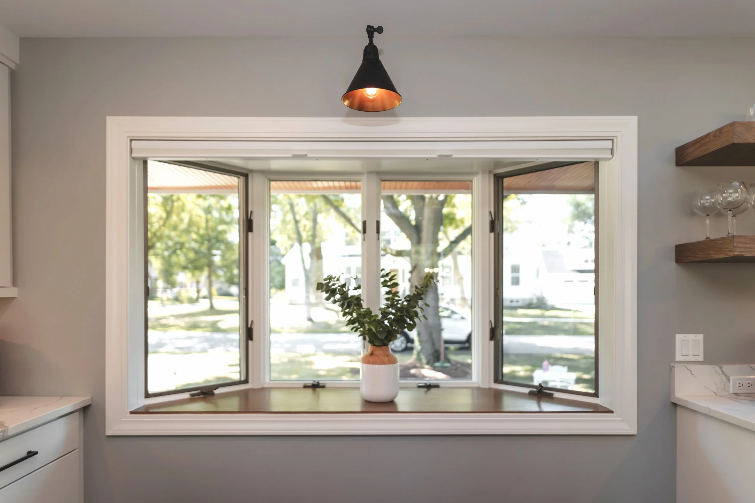 Kitchen window with a window sill, a potted plant, and a view of trees and houses outside.