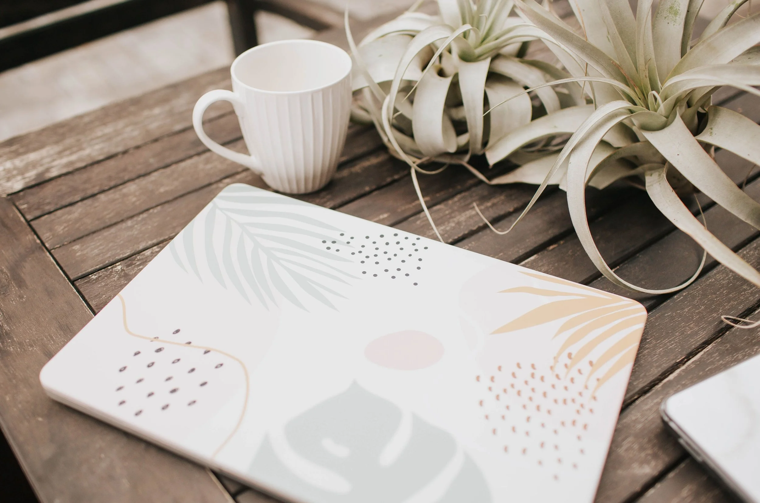 A laptop, coffee mug and air plants on a wooden cafe table