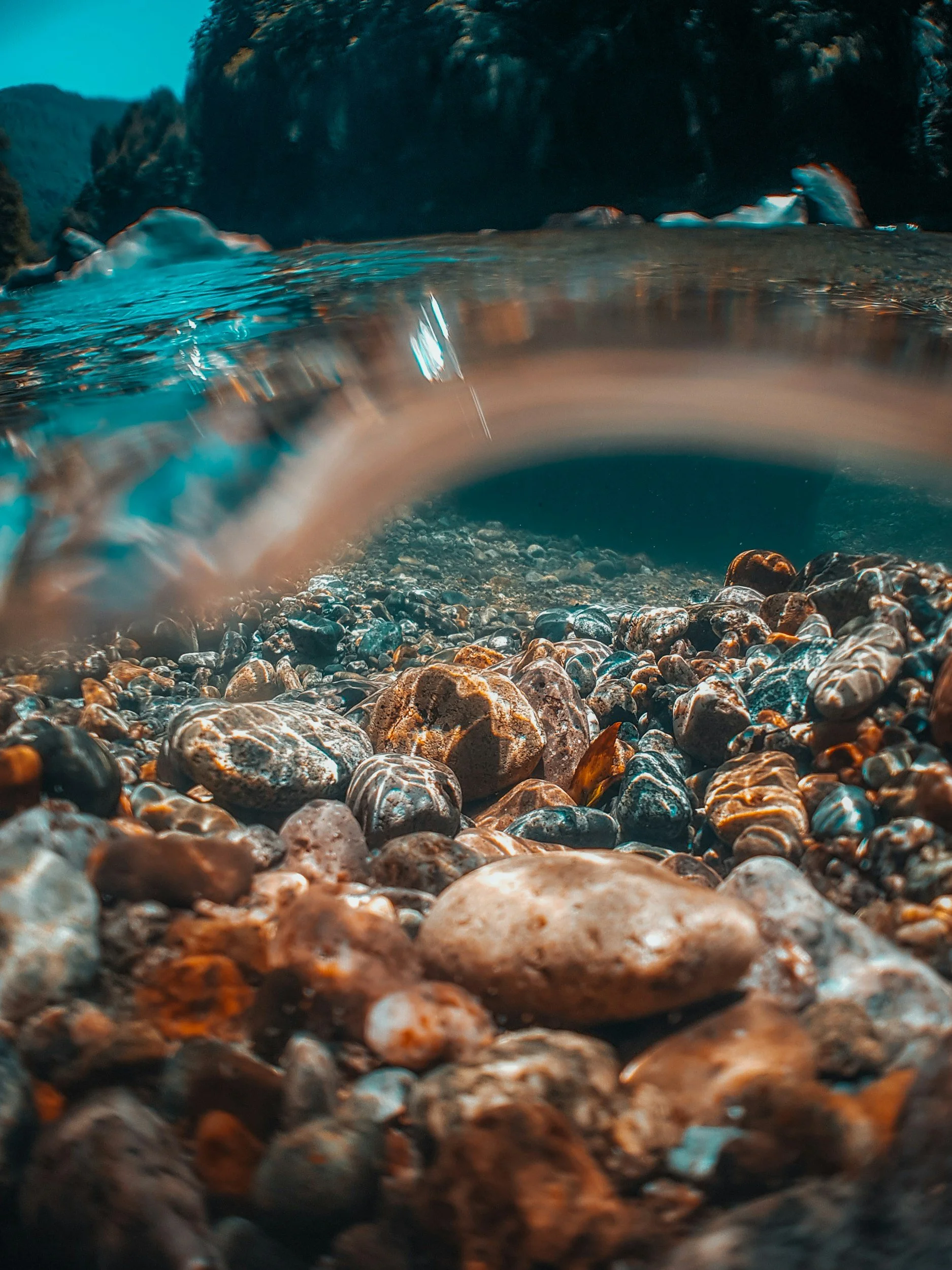 Close-up view of a rocky riverbed with clear water flowing over various sized stones, with a forested landscape in the background.