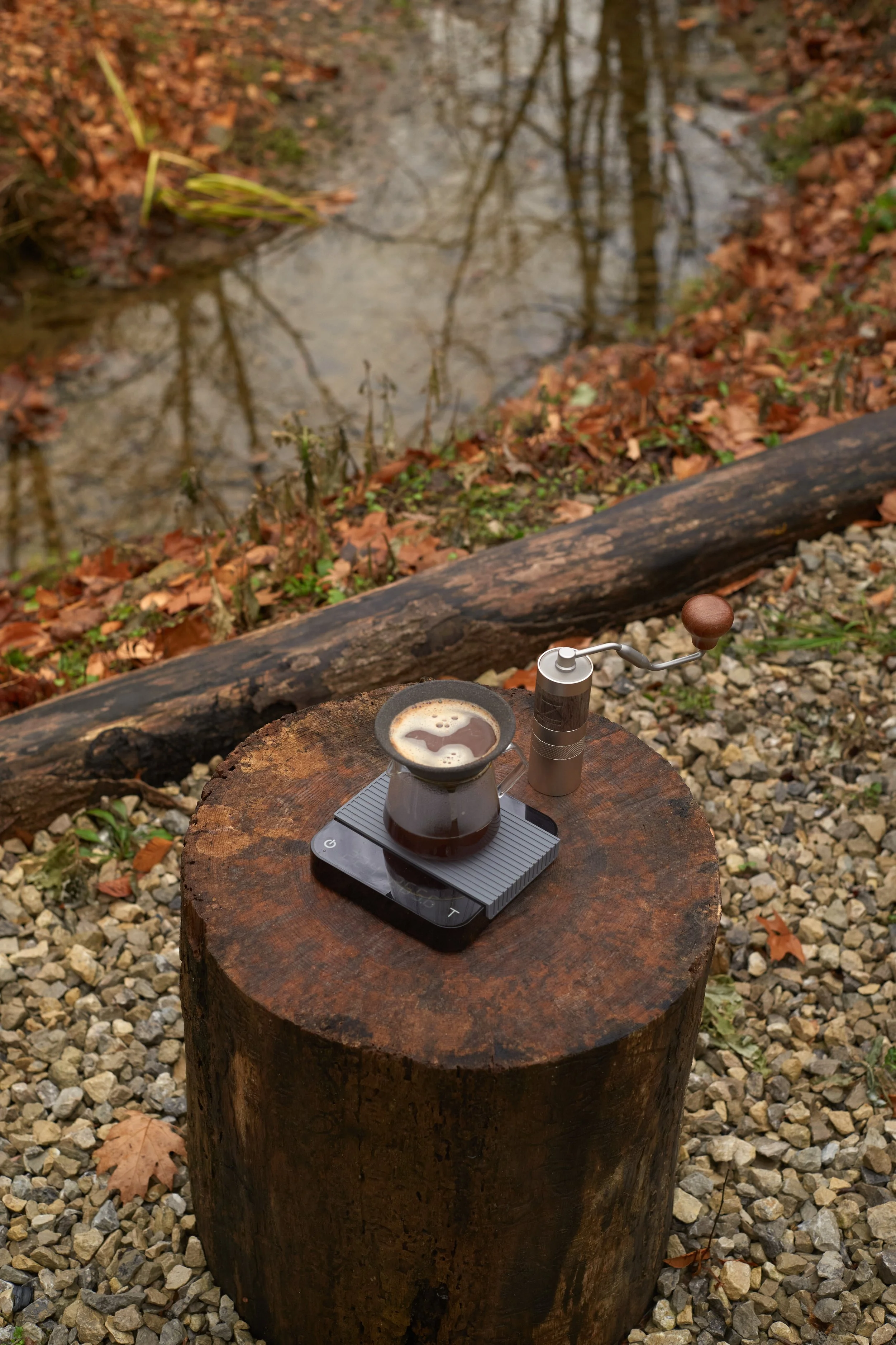 A coffee maker with a cup of coffee on top of a portable scale on a tree stump in an outdoor setting, with a small pond and autumn leaves in the background. Columbus, Ohio, David Kim Photography