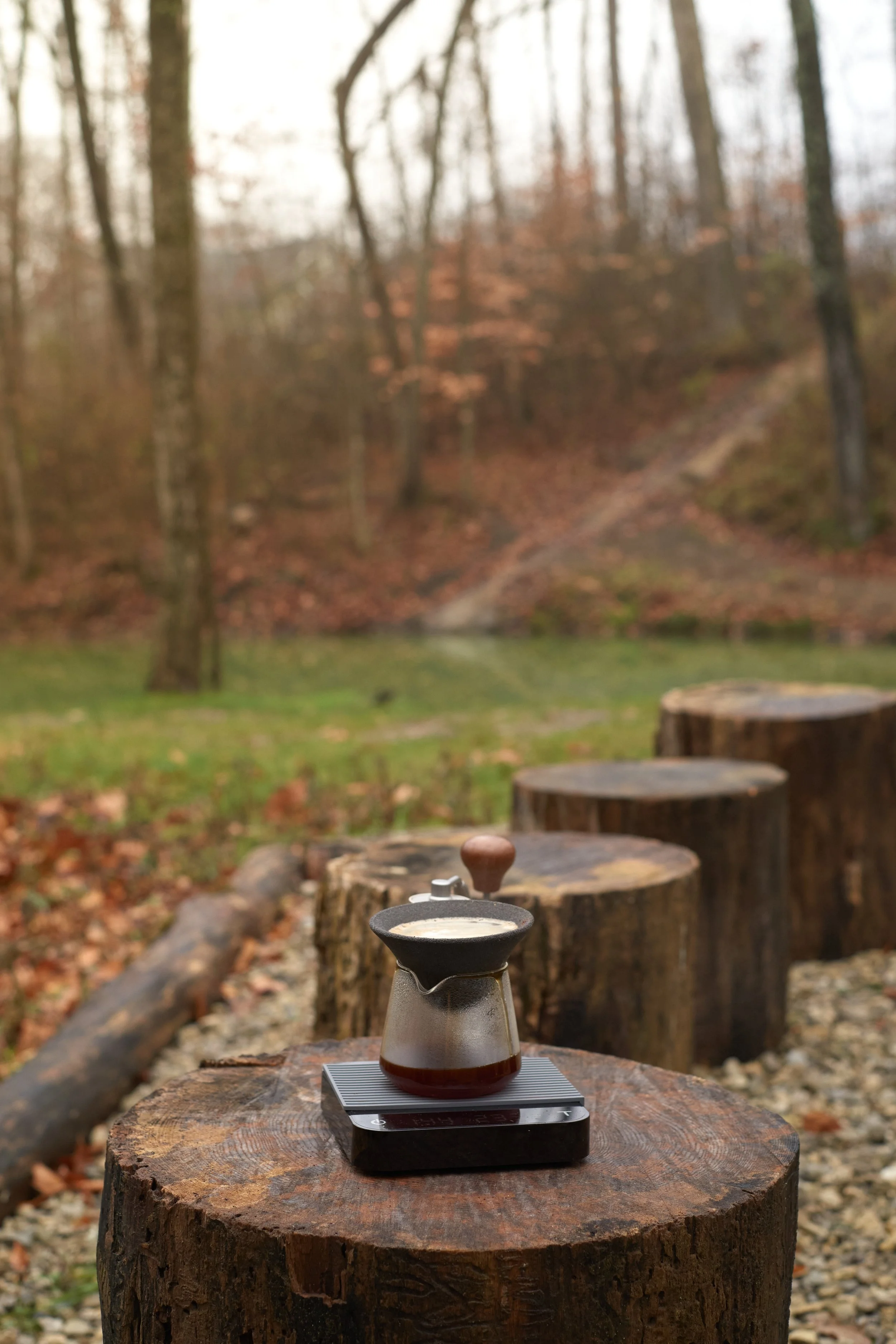 A coffee brewing device on a scale placed on a wooden log outdoors in a forest setting with tall trees and fallen leaves. Columbus, Ohio, David Kim Photography