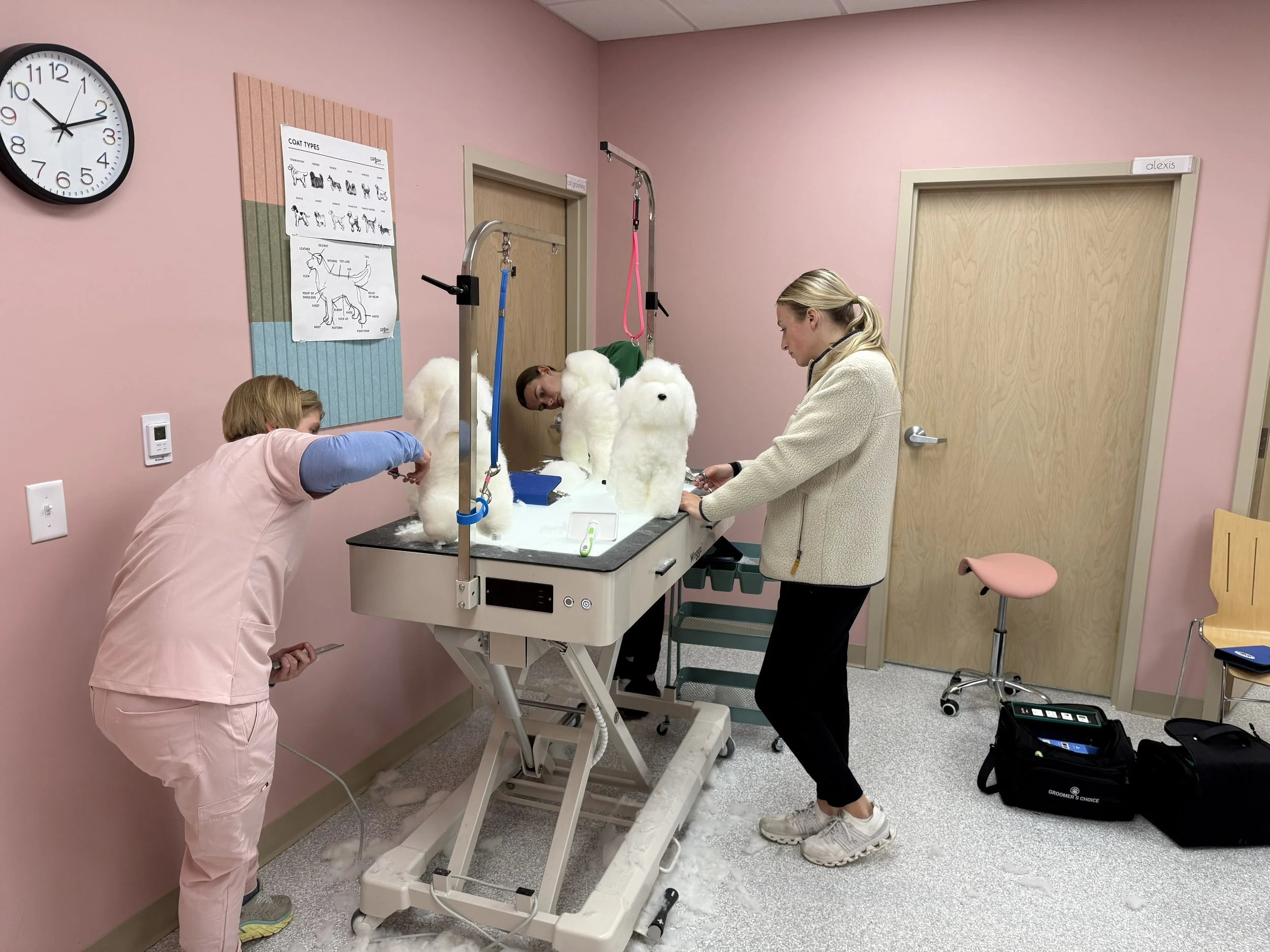 groomer education