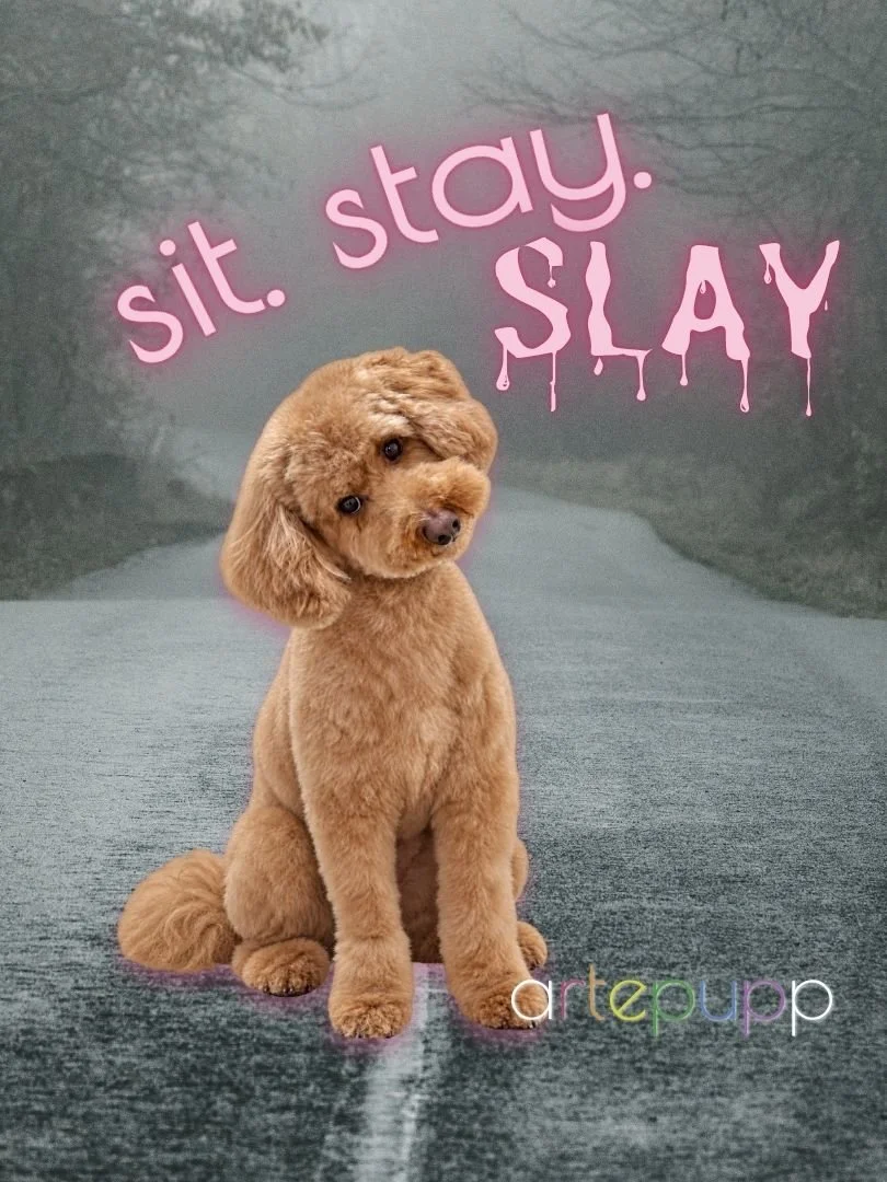 sitstayslay.jpg