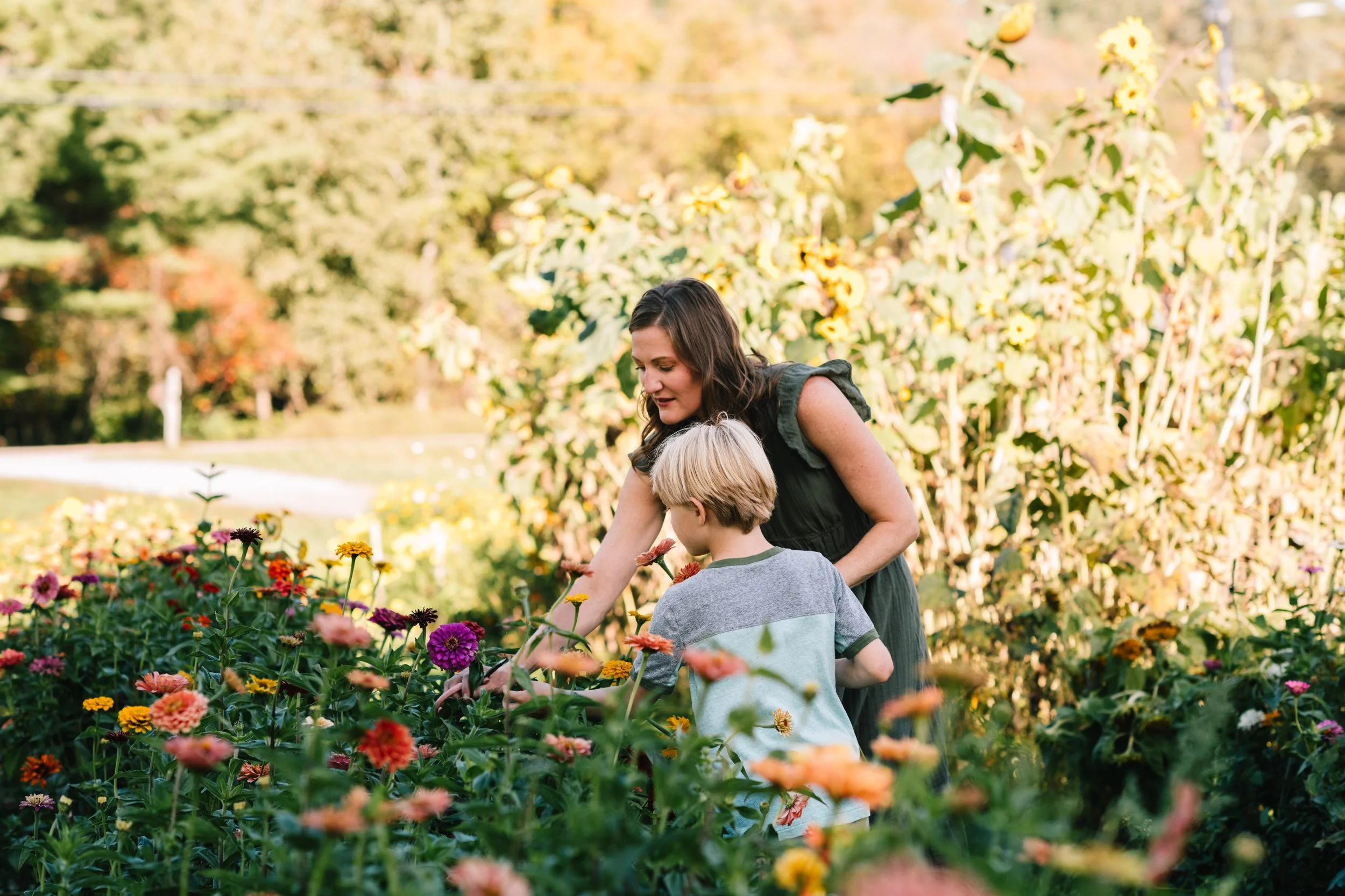 A woman (Laura) and two children picking colorful flowers in a garden surrounded by tall sunflowers and other flowers.
