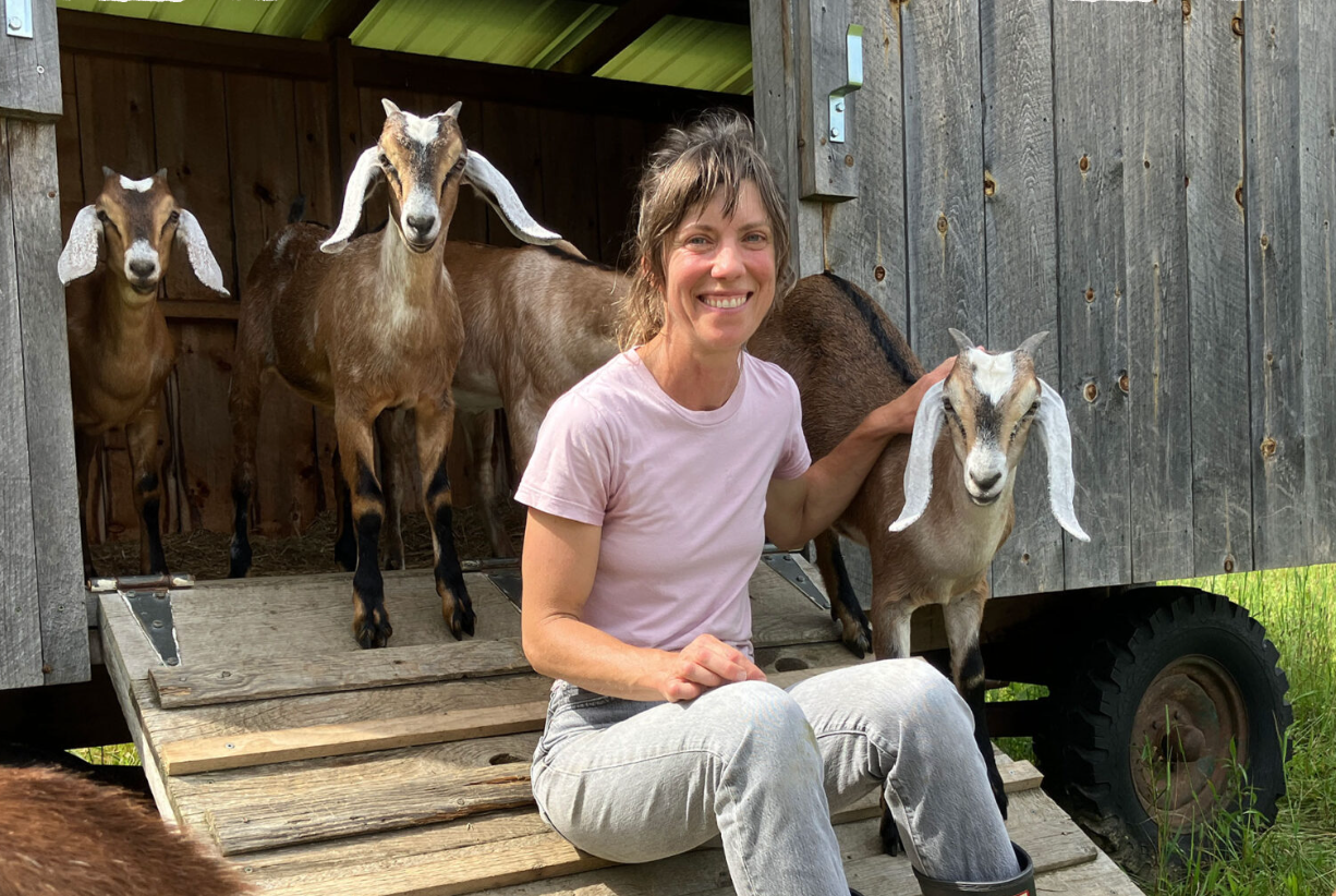 Articles for Vermont Land Trust