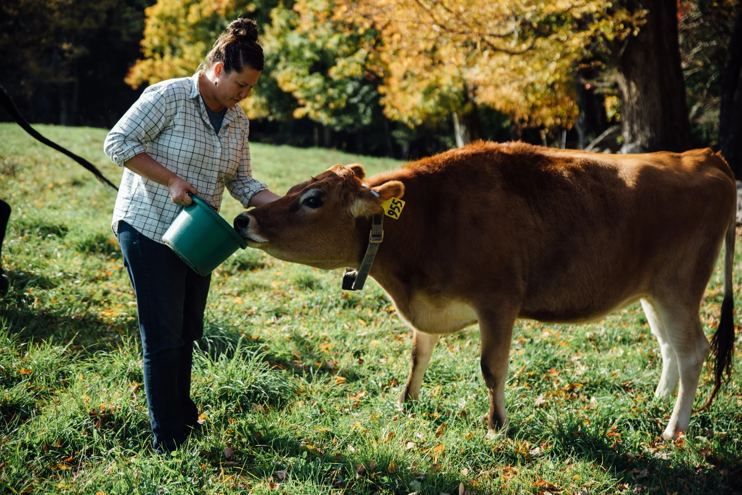 When the love of farming isn't enough: Chronic stress triggering mental health conditions