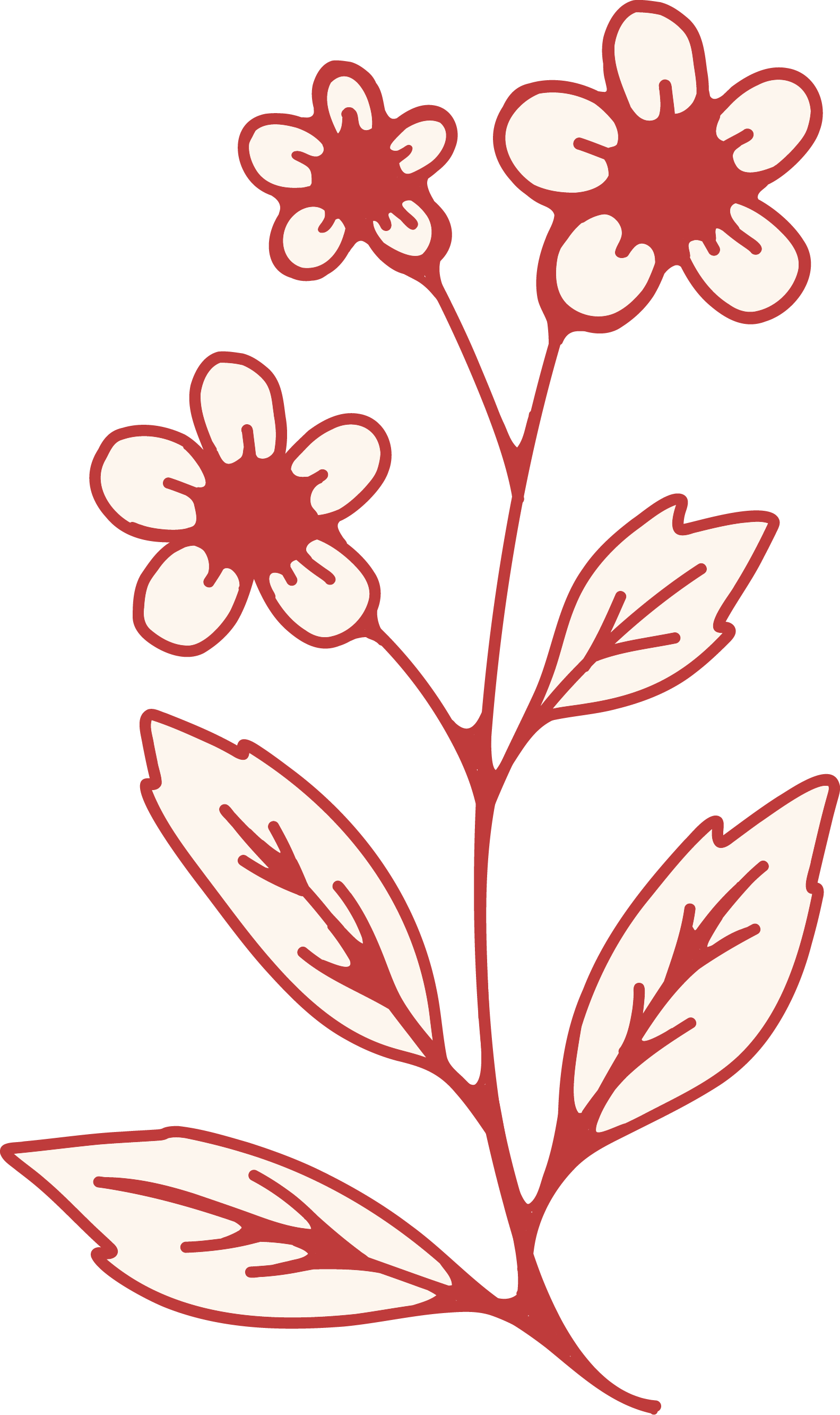 Stylized illustration of a flowering plant with cream and red colored flowers and cream and red leaves.