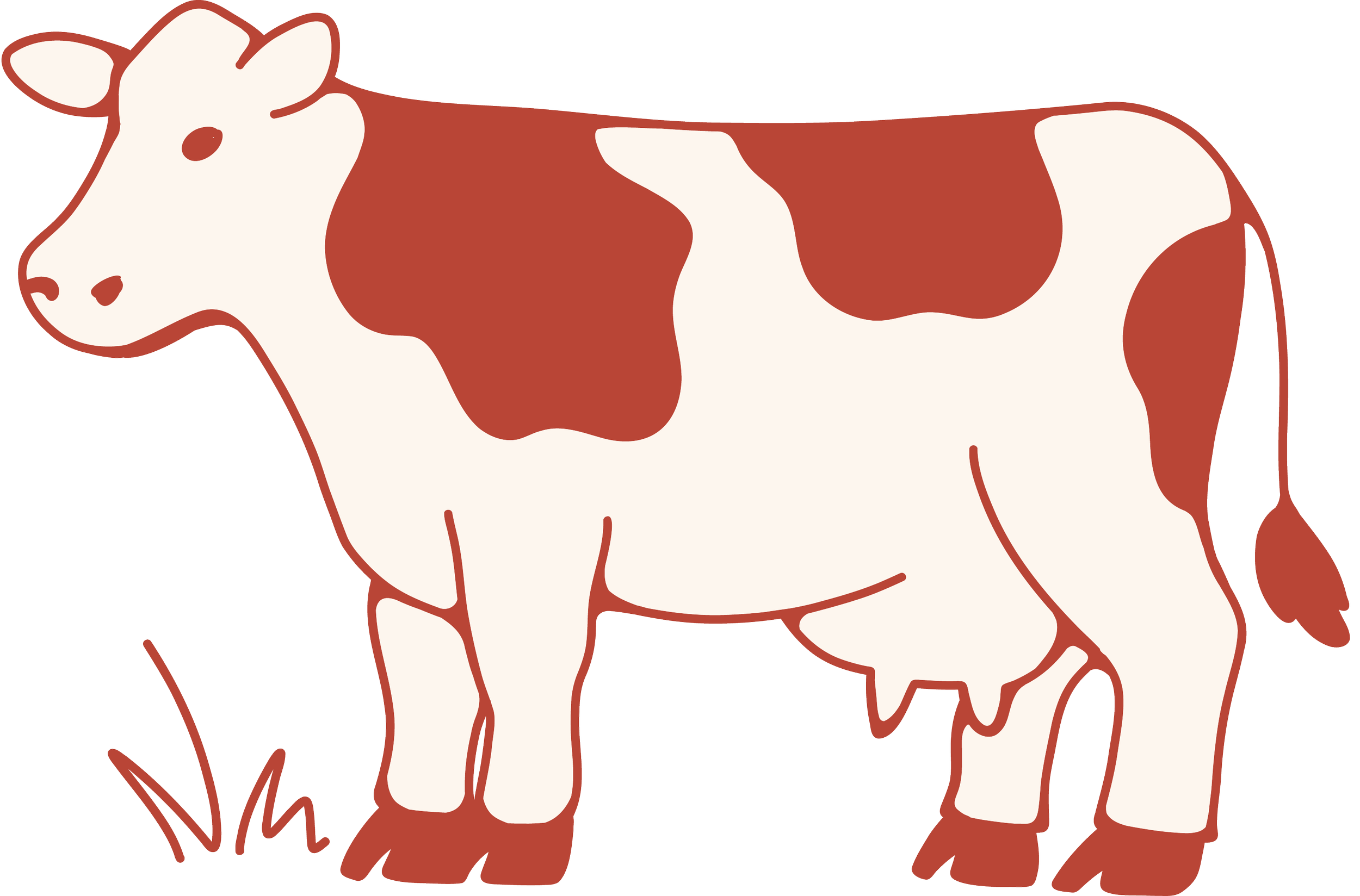 Illustration of a cow with white and brown patches.