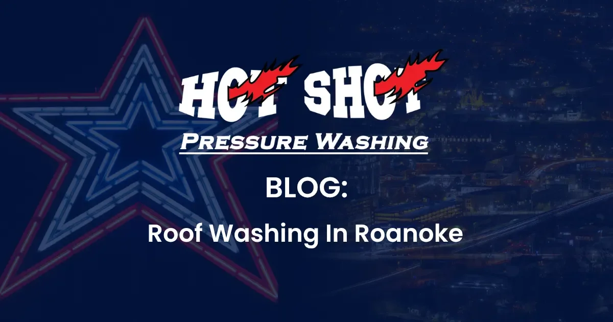 Roof Washing in Roanoke: What Those Black Streaks Actually Are and Why They Don't Go Away on Their Own