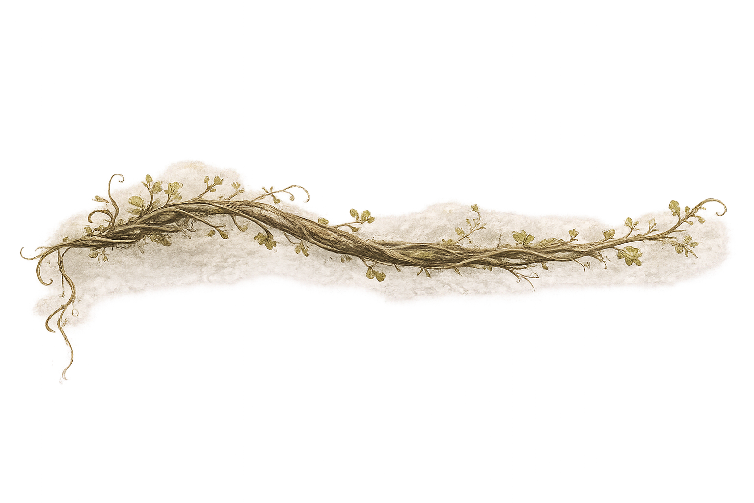 A watercolor illustration of a long, twisting vine with small leaves, laid over a textured white background.