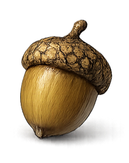 A single acorn with a textured cap and smooth body.