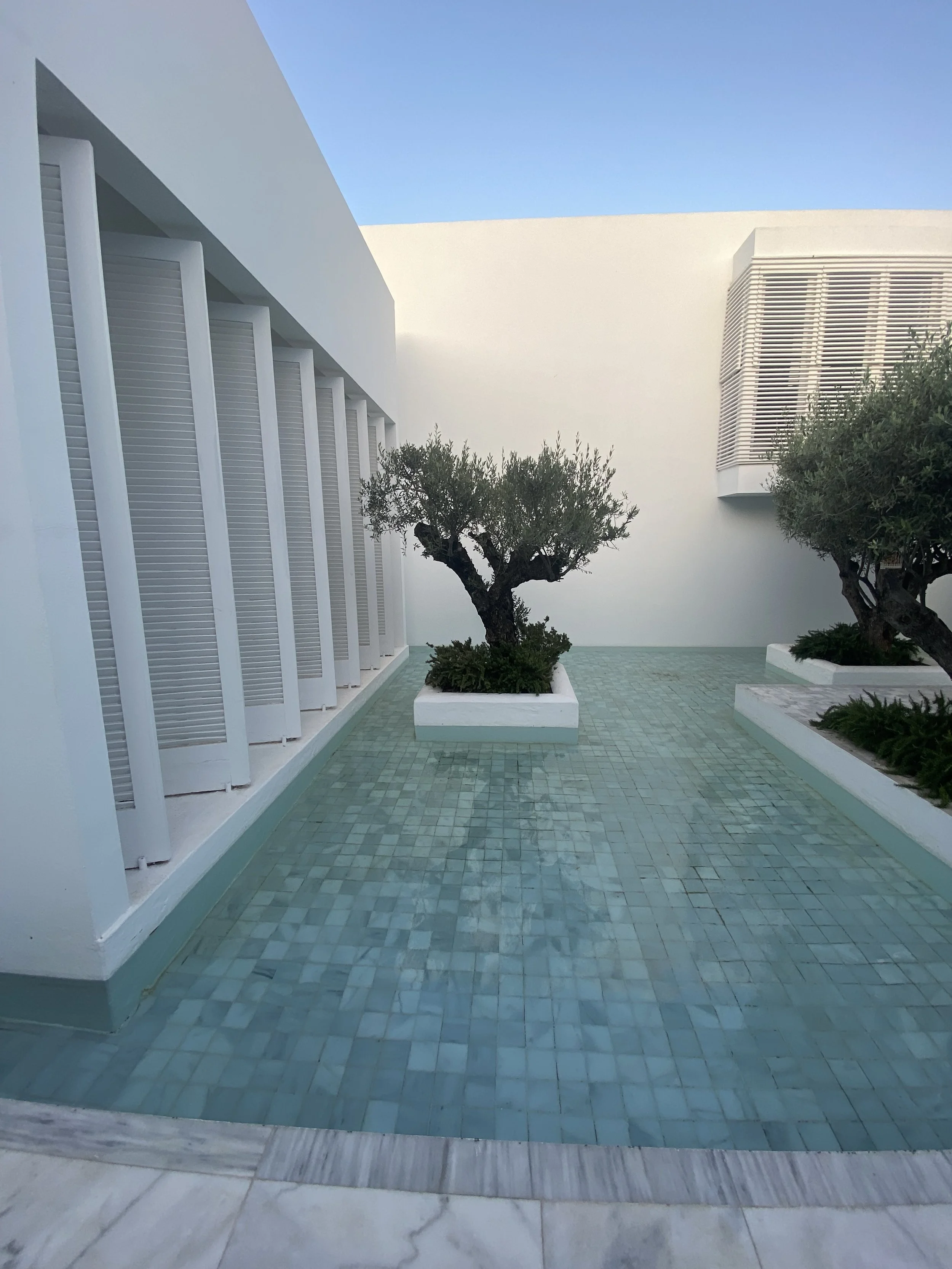 A minimalist white modern building with rectangular windows and slatted shades, two small trees in white planters, and a tiled pool area with blue-green tiles and a marble border.