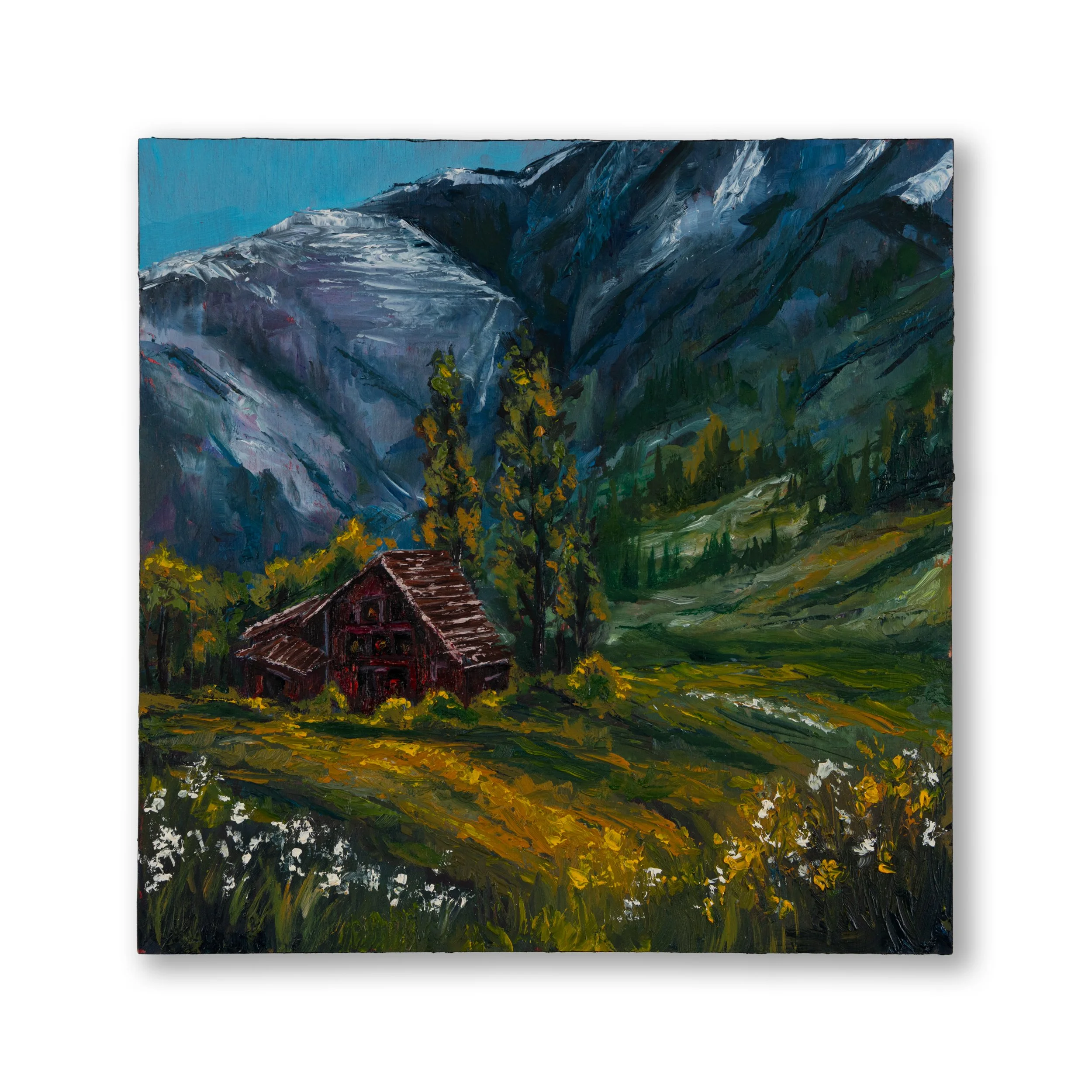 Oil Collection 38