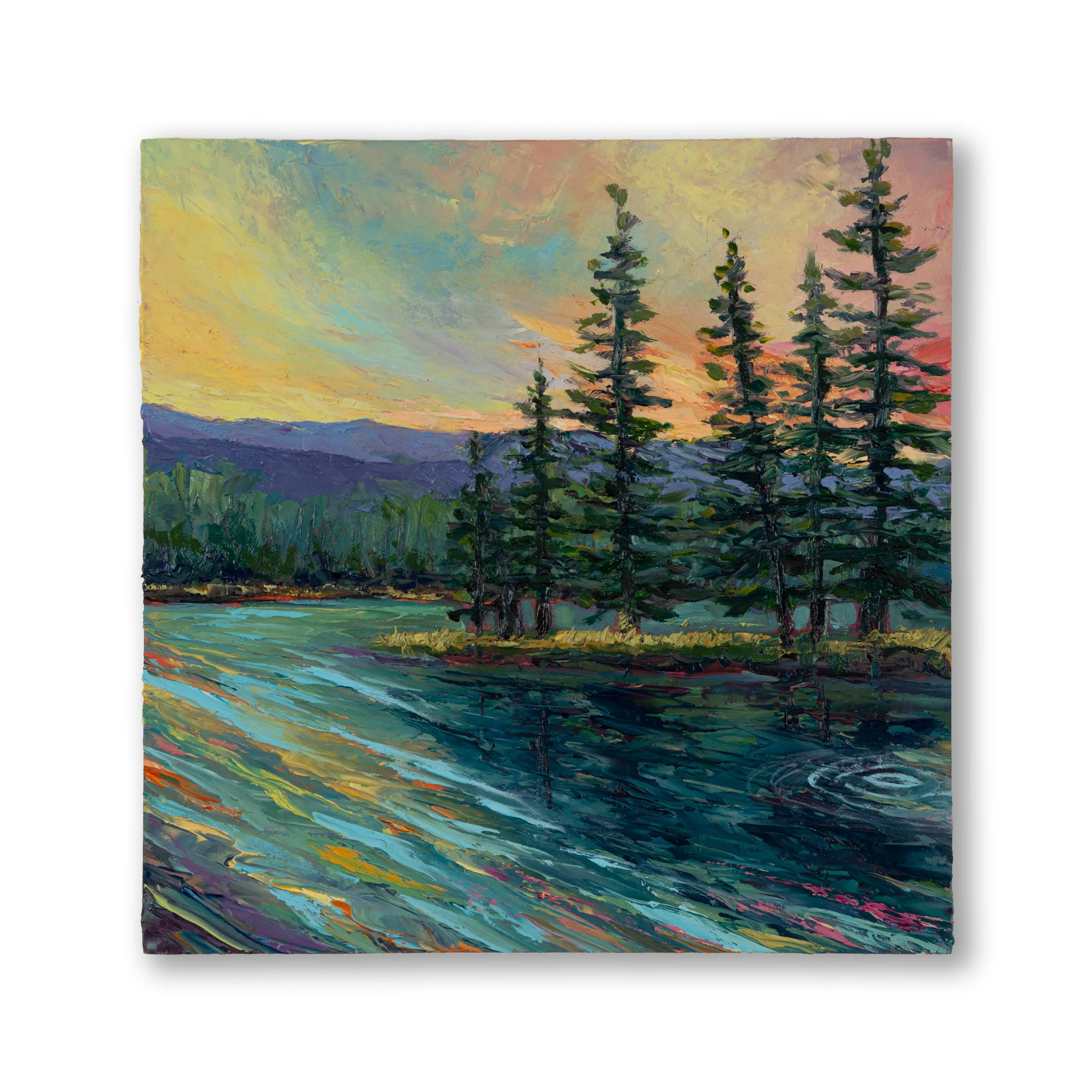 Oil Collection 35