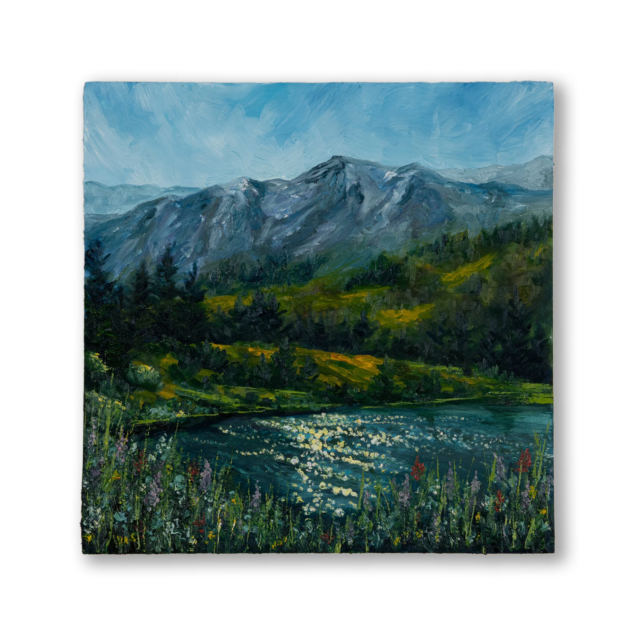 Oil Collection 02