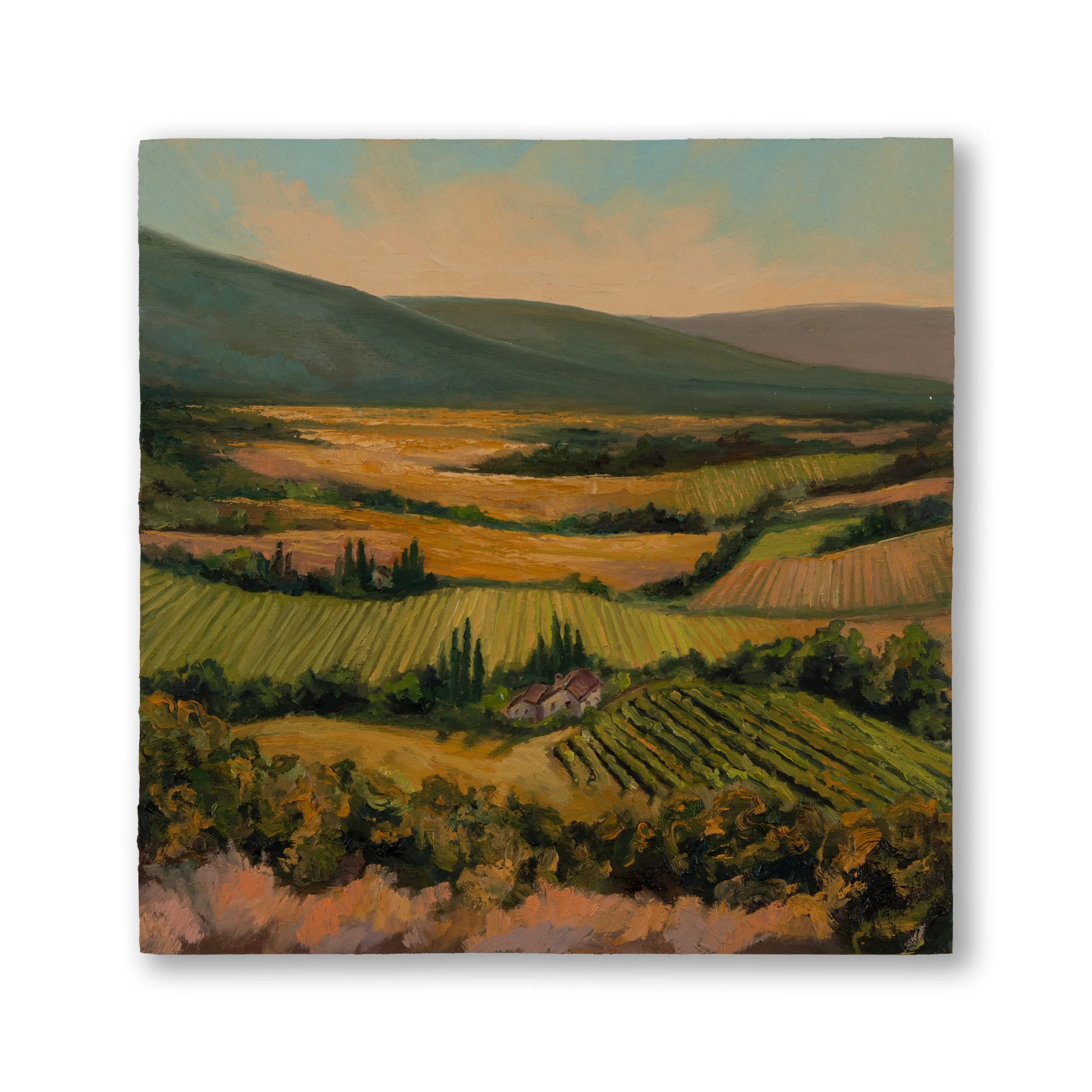 Oil Collection 14