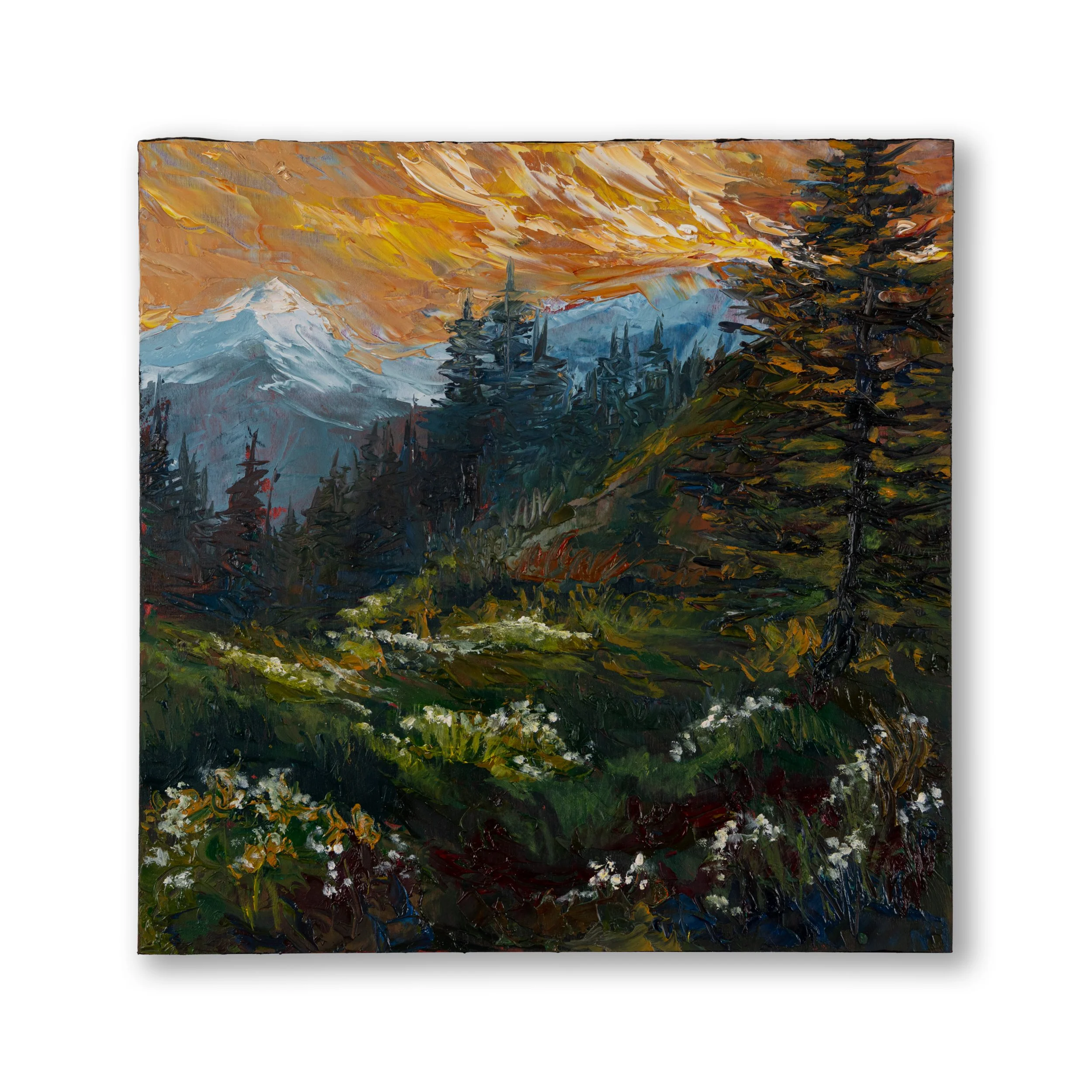 Oil Collection 36
