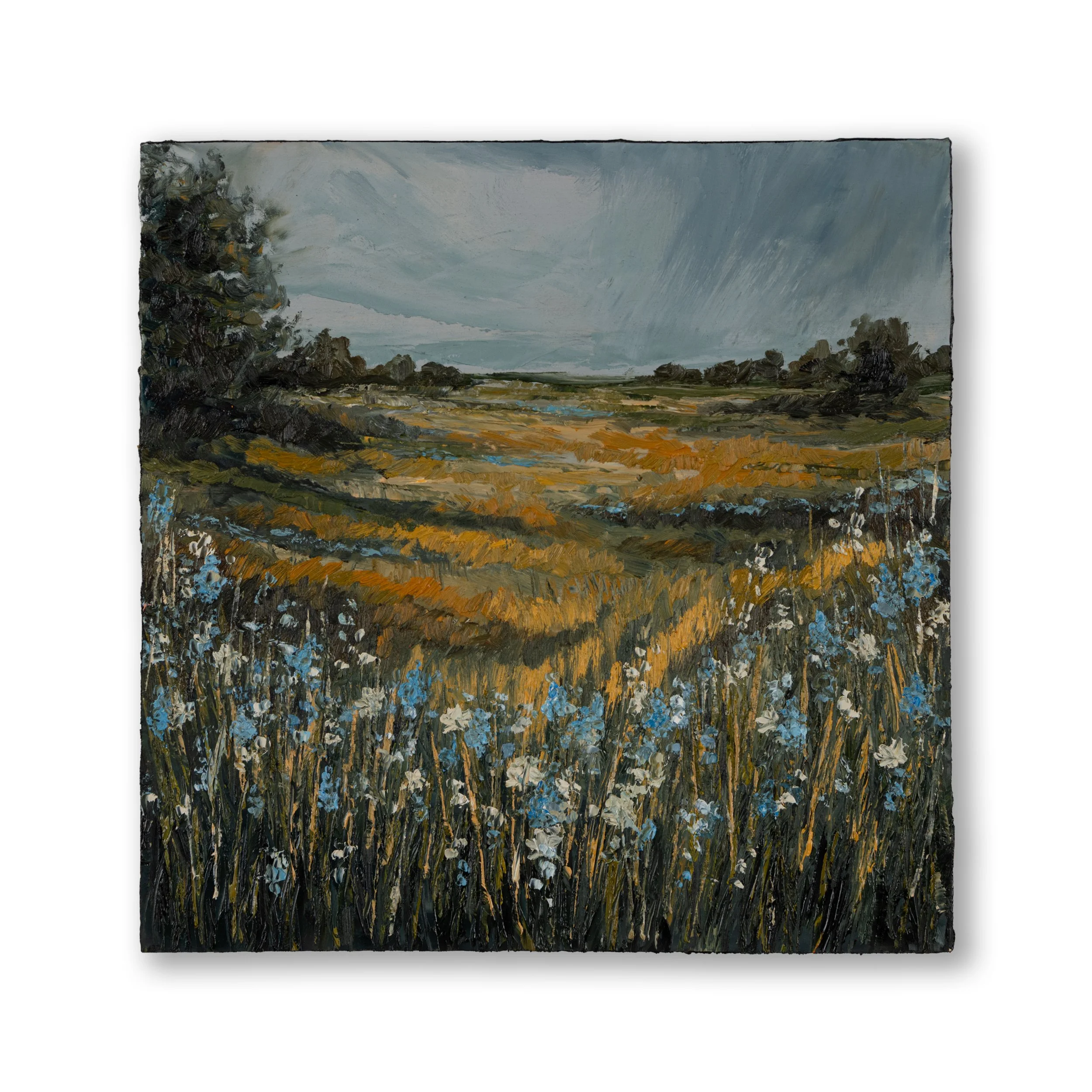 Oil Collection 26