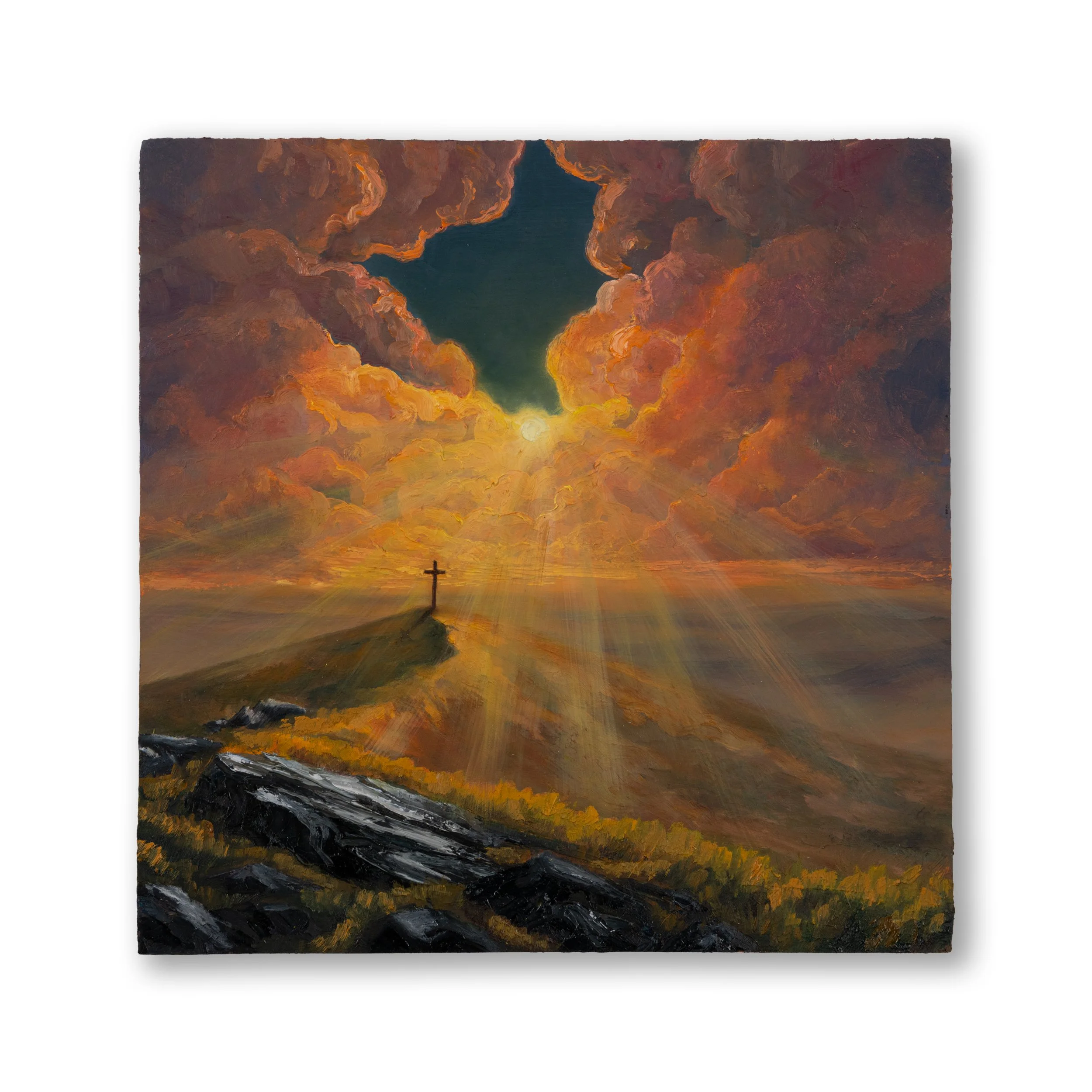 Oil Collection 06