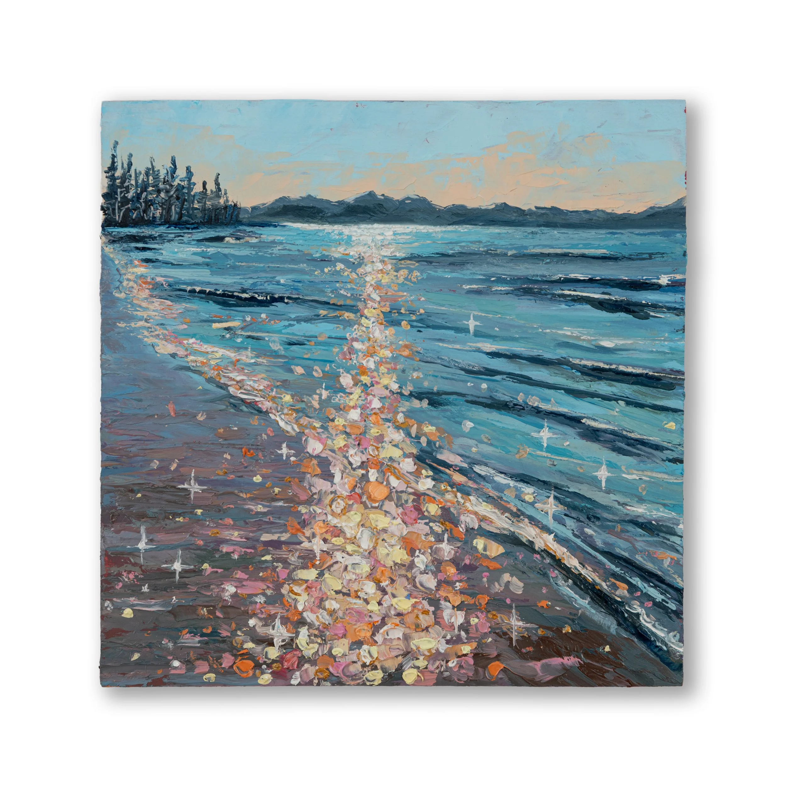 Oil Collection 17