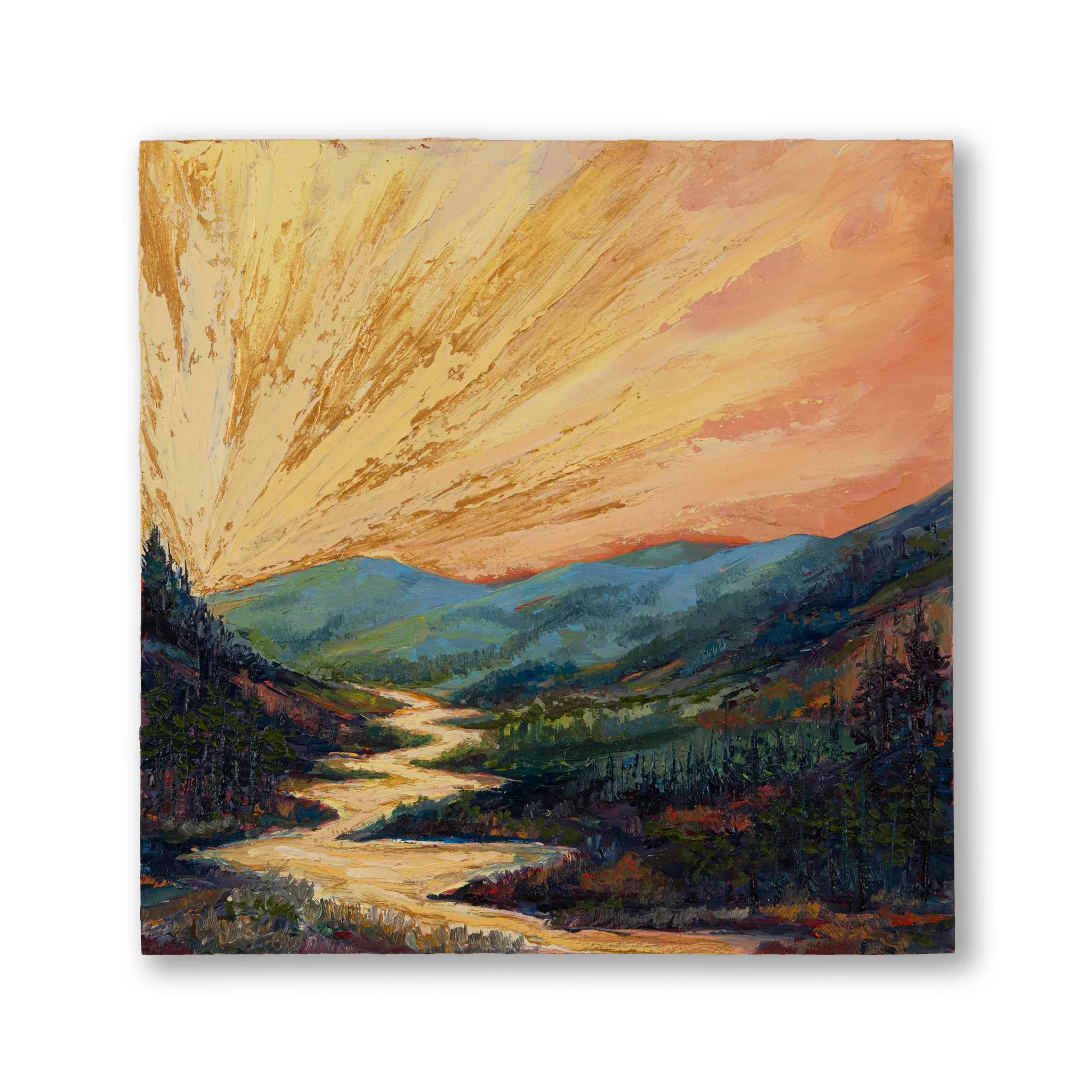 Oil Collection 08