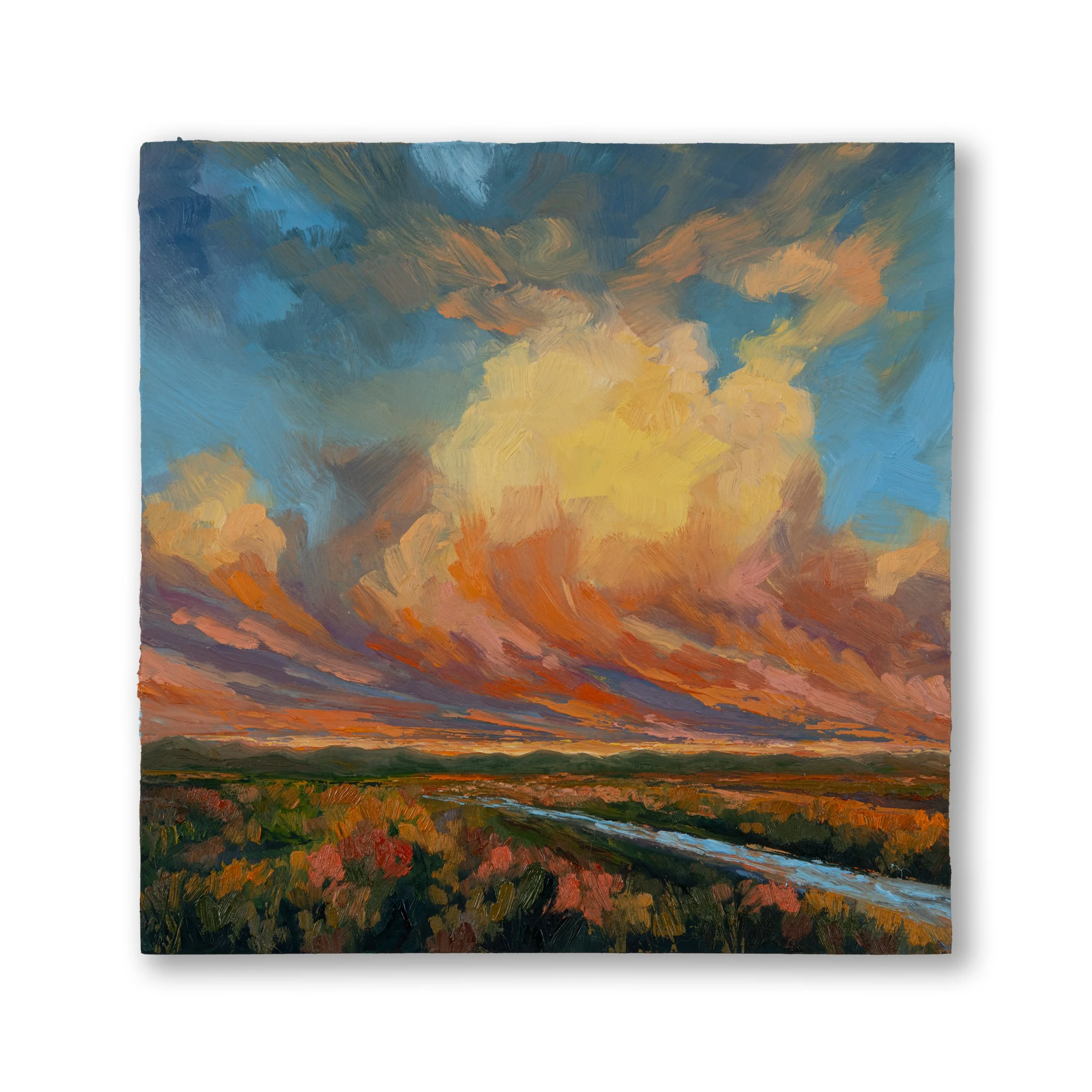 Oil Collection 12
