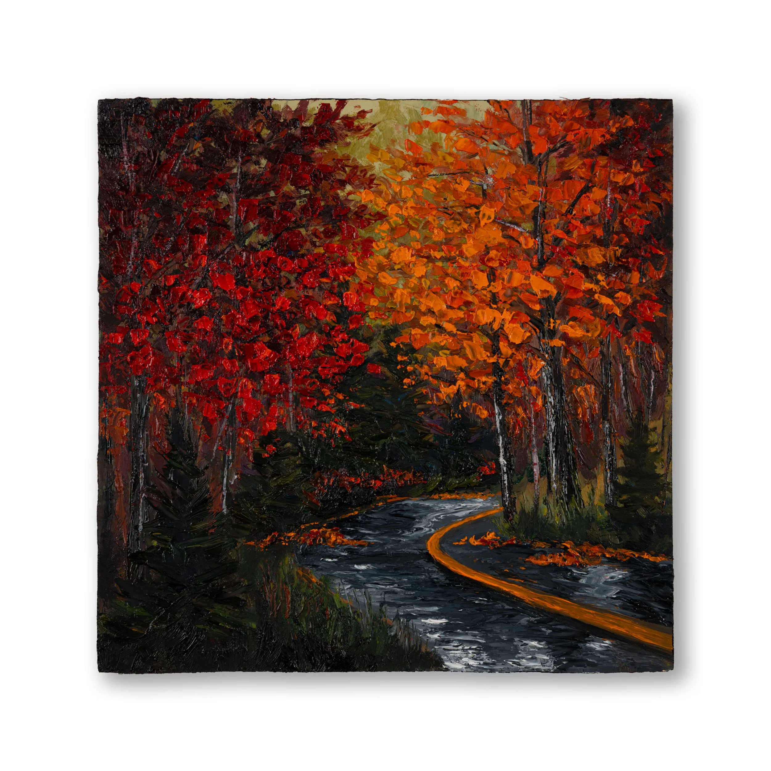 Oil Collection 23