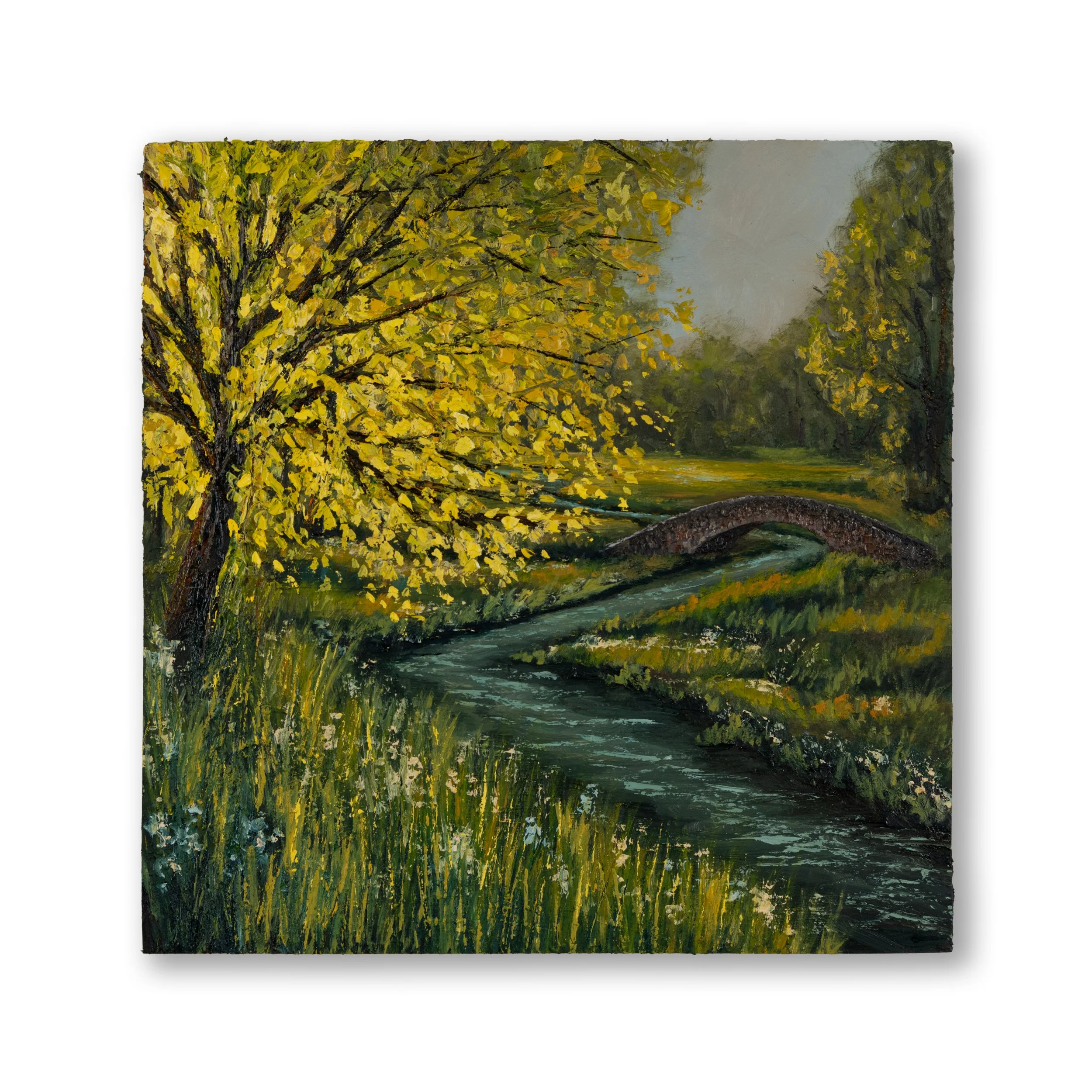 Oil Collection 04