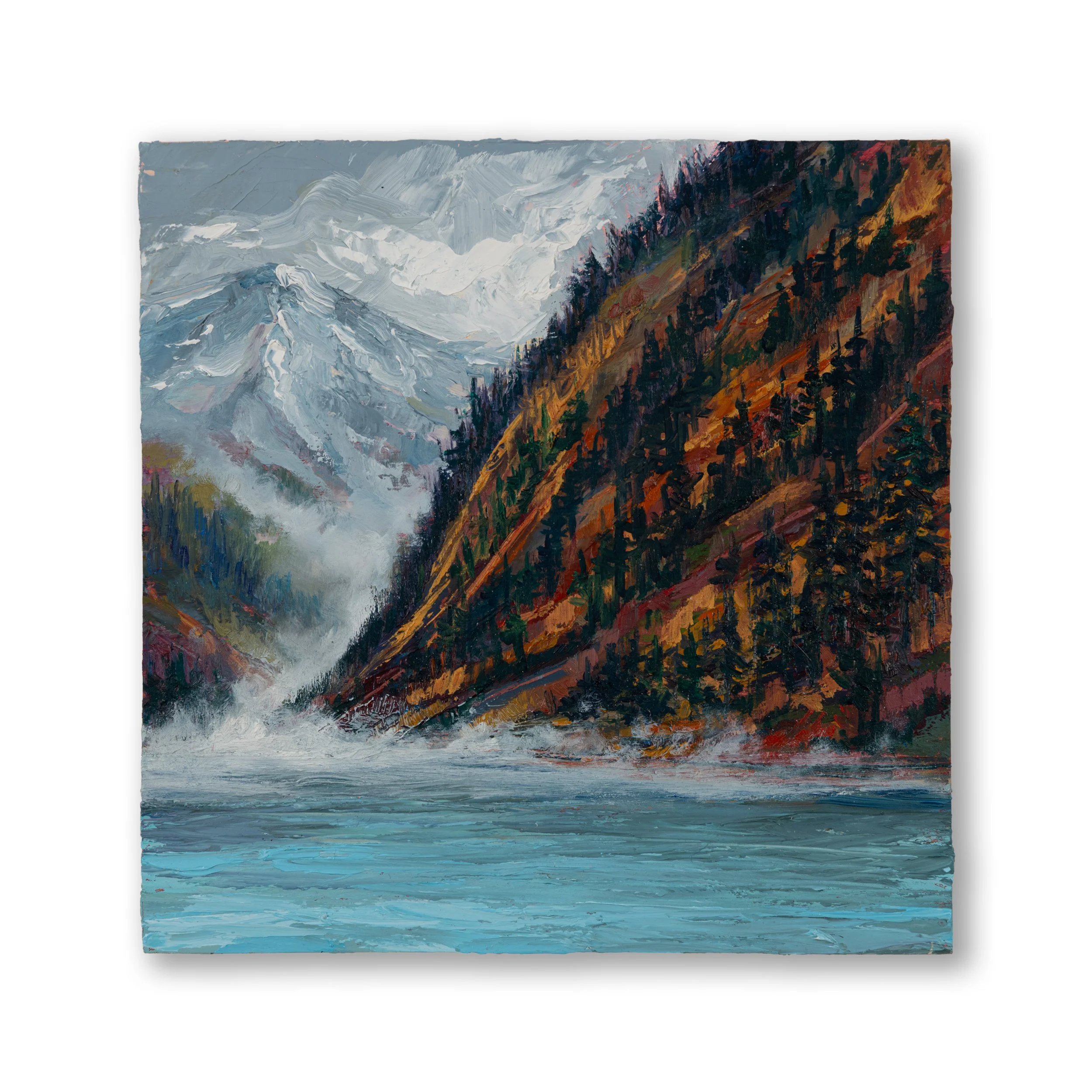 Oil Collection 15