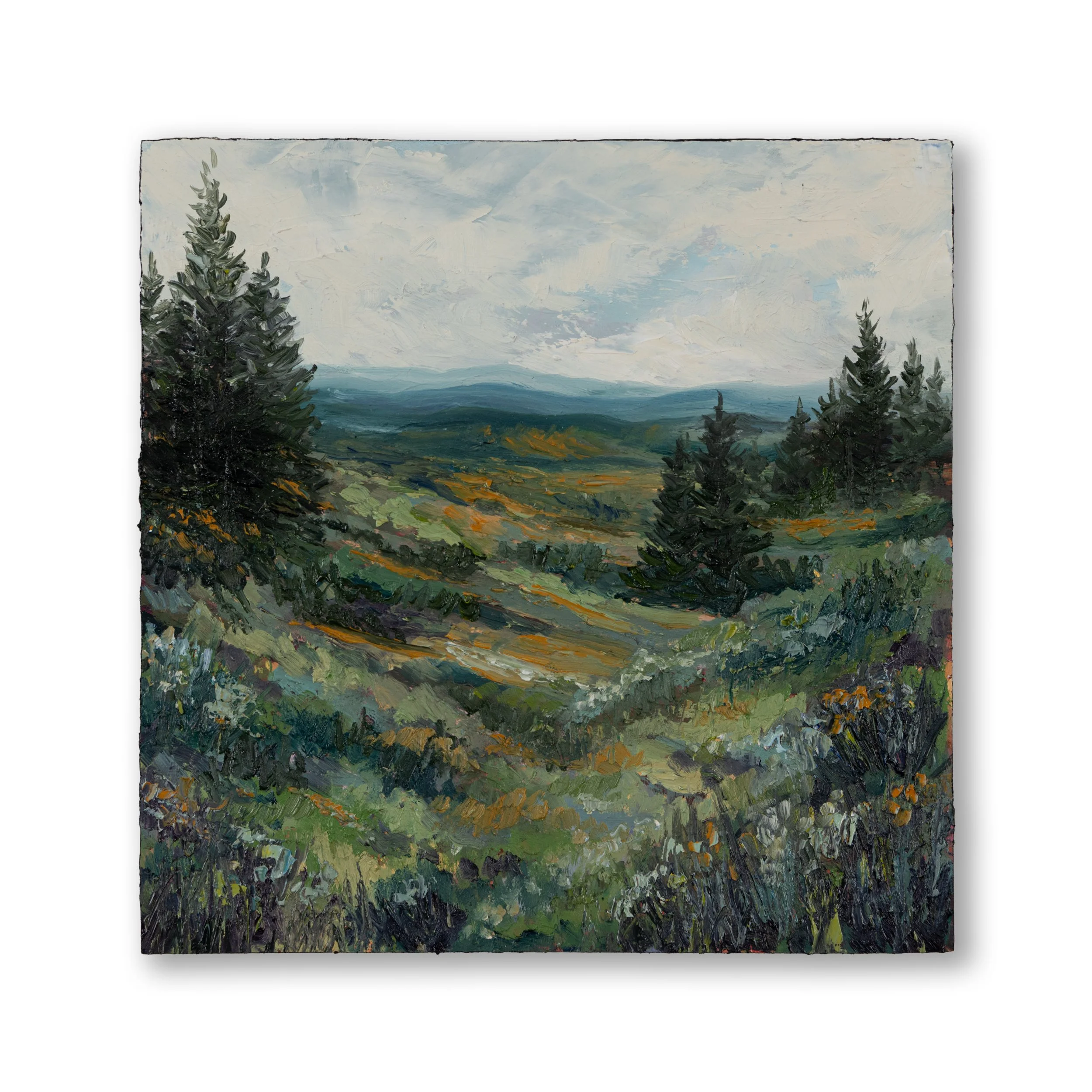 Oil Collection 21