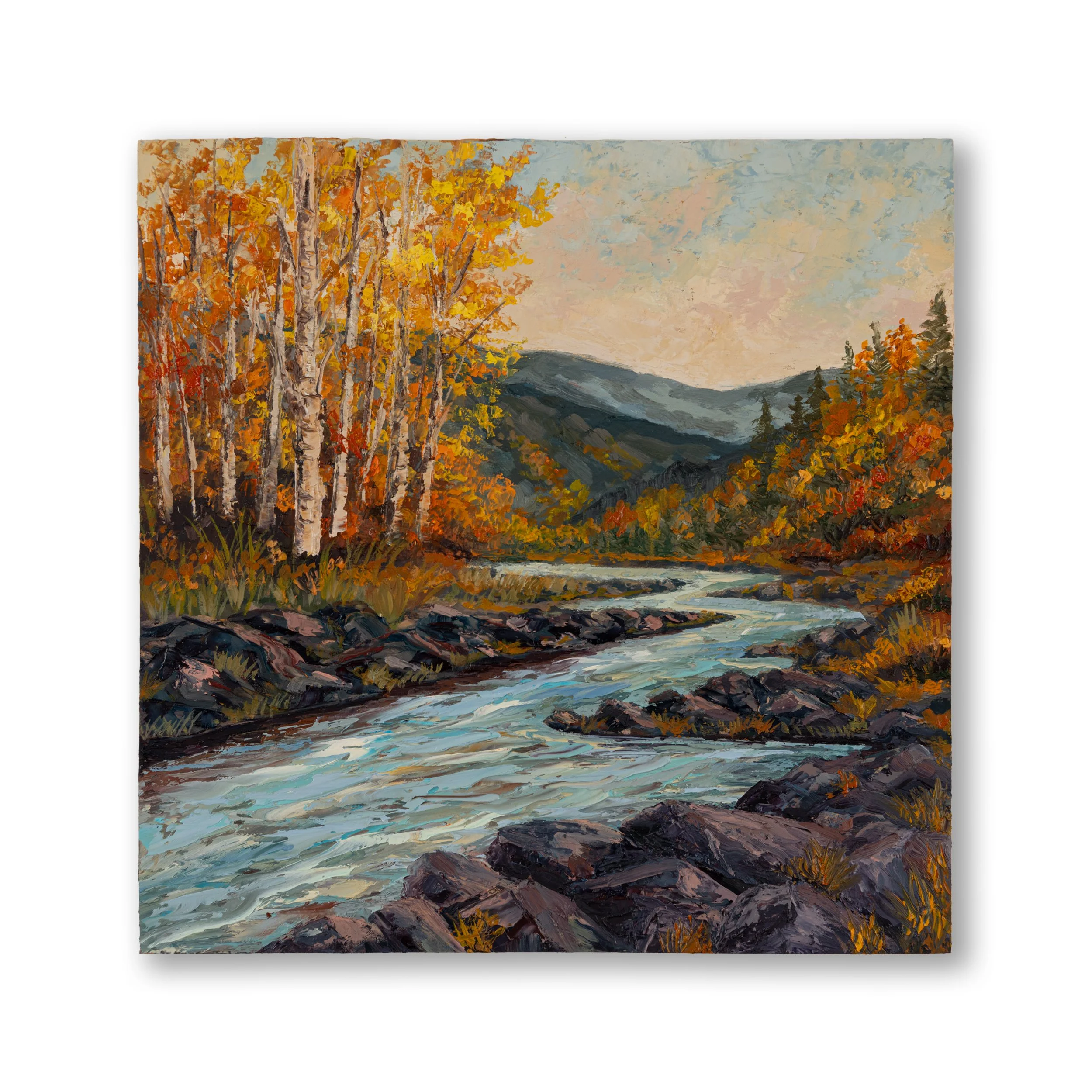 Oil Collection 42