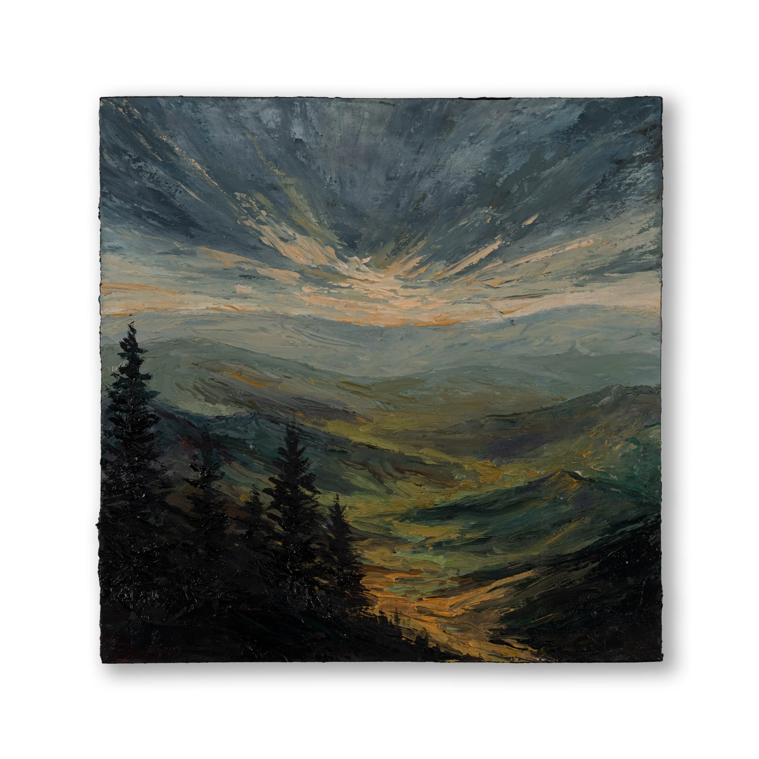 Oil Collection 24