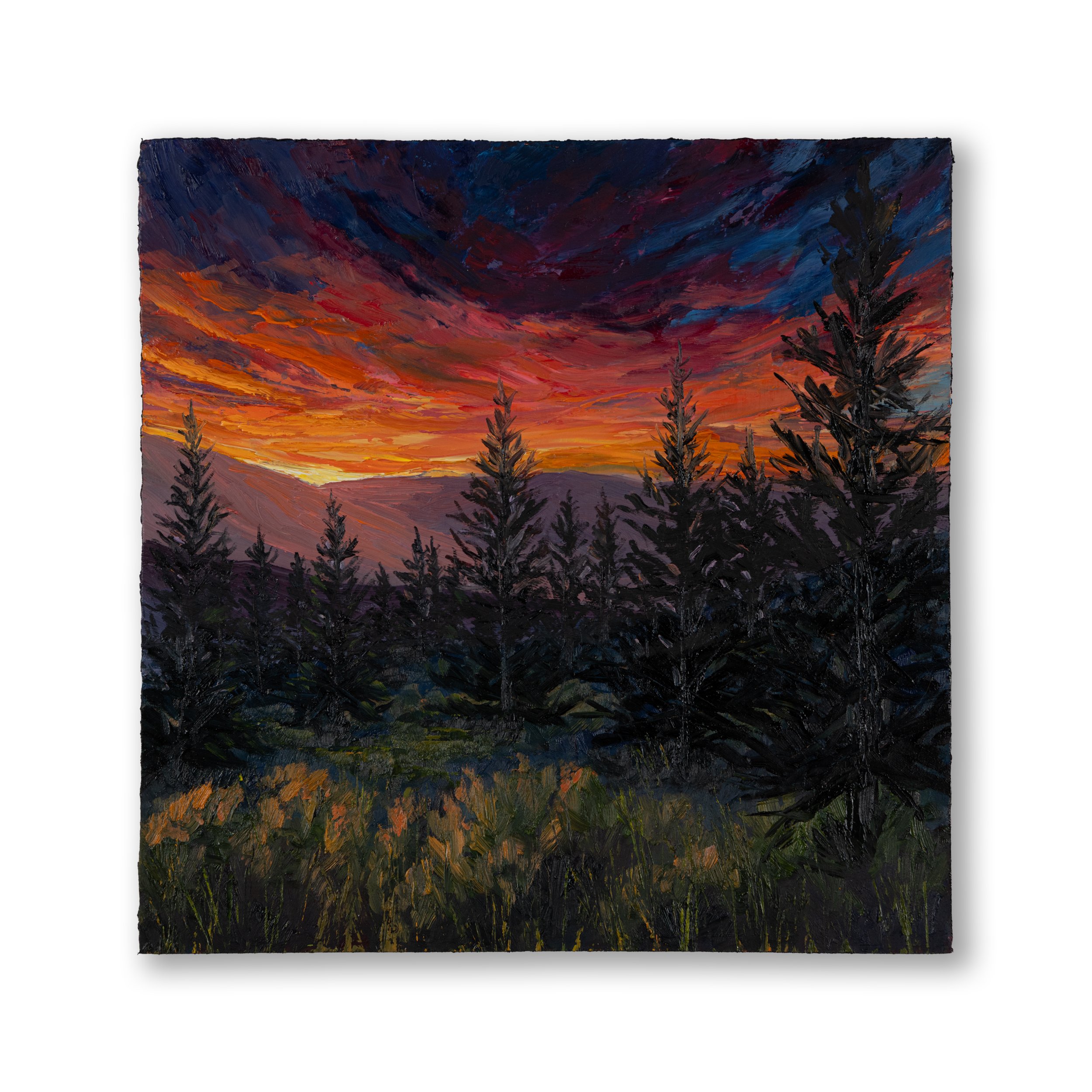 Oil Collection 40