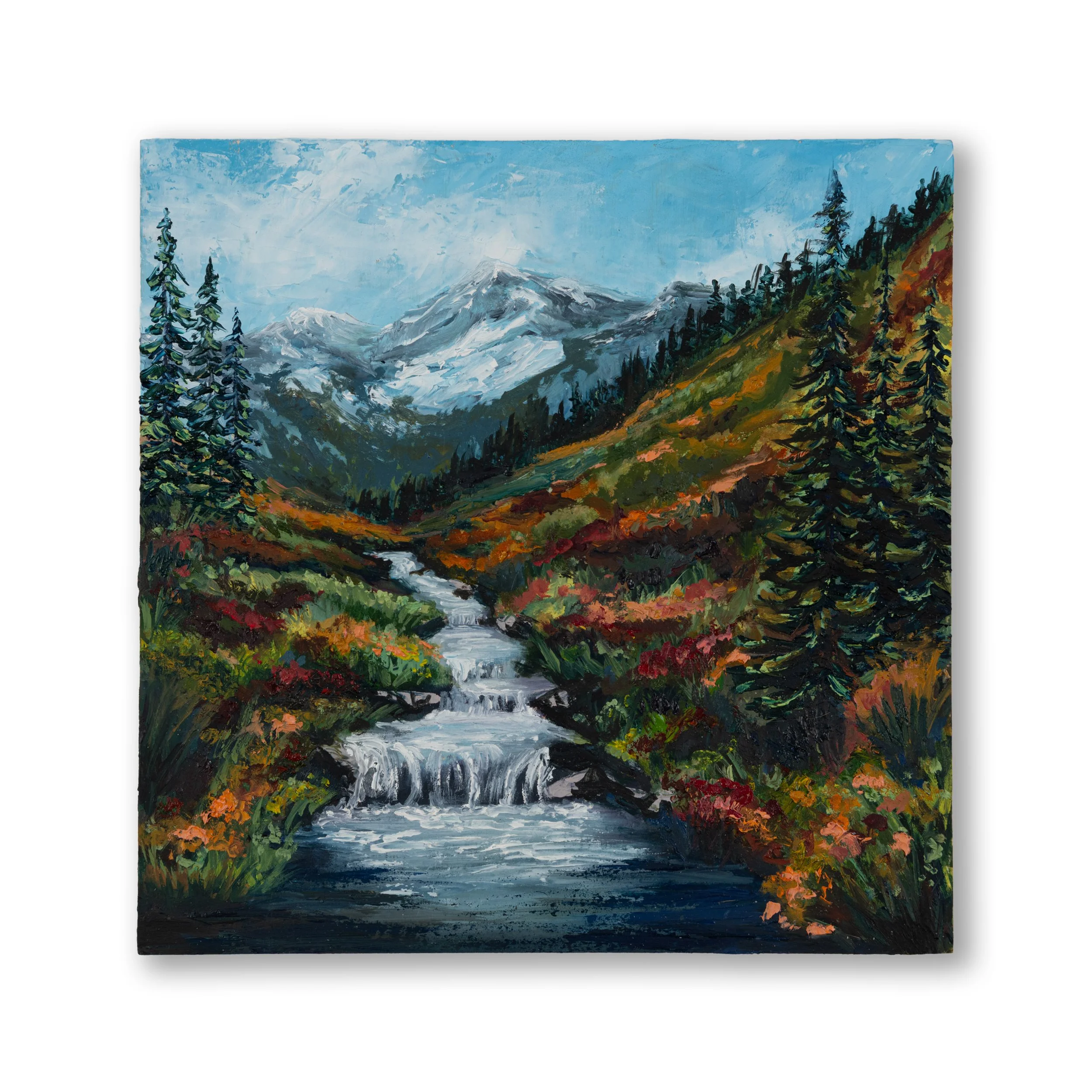 Oil Collection 31