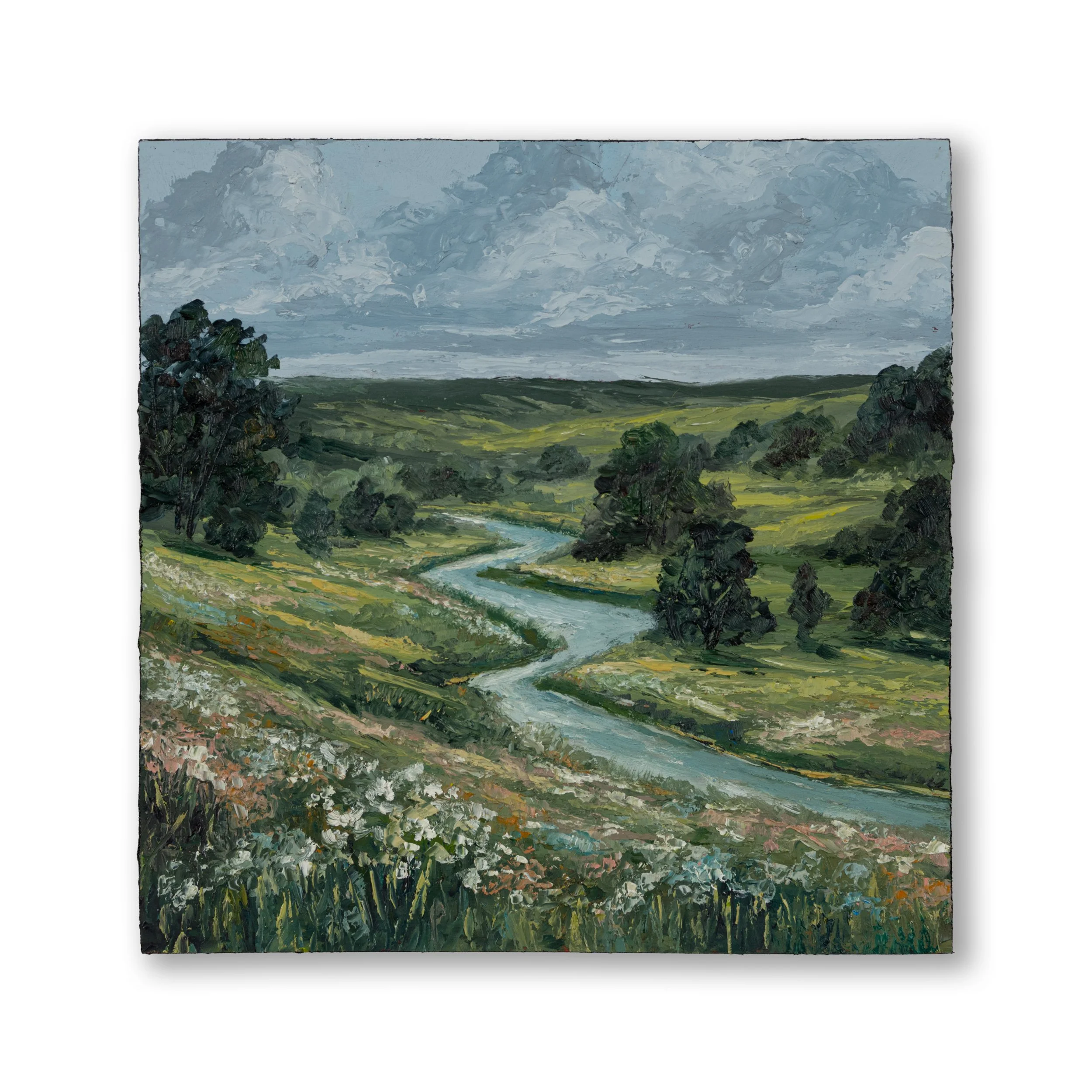 Oil Collection 20