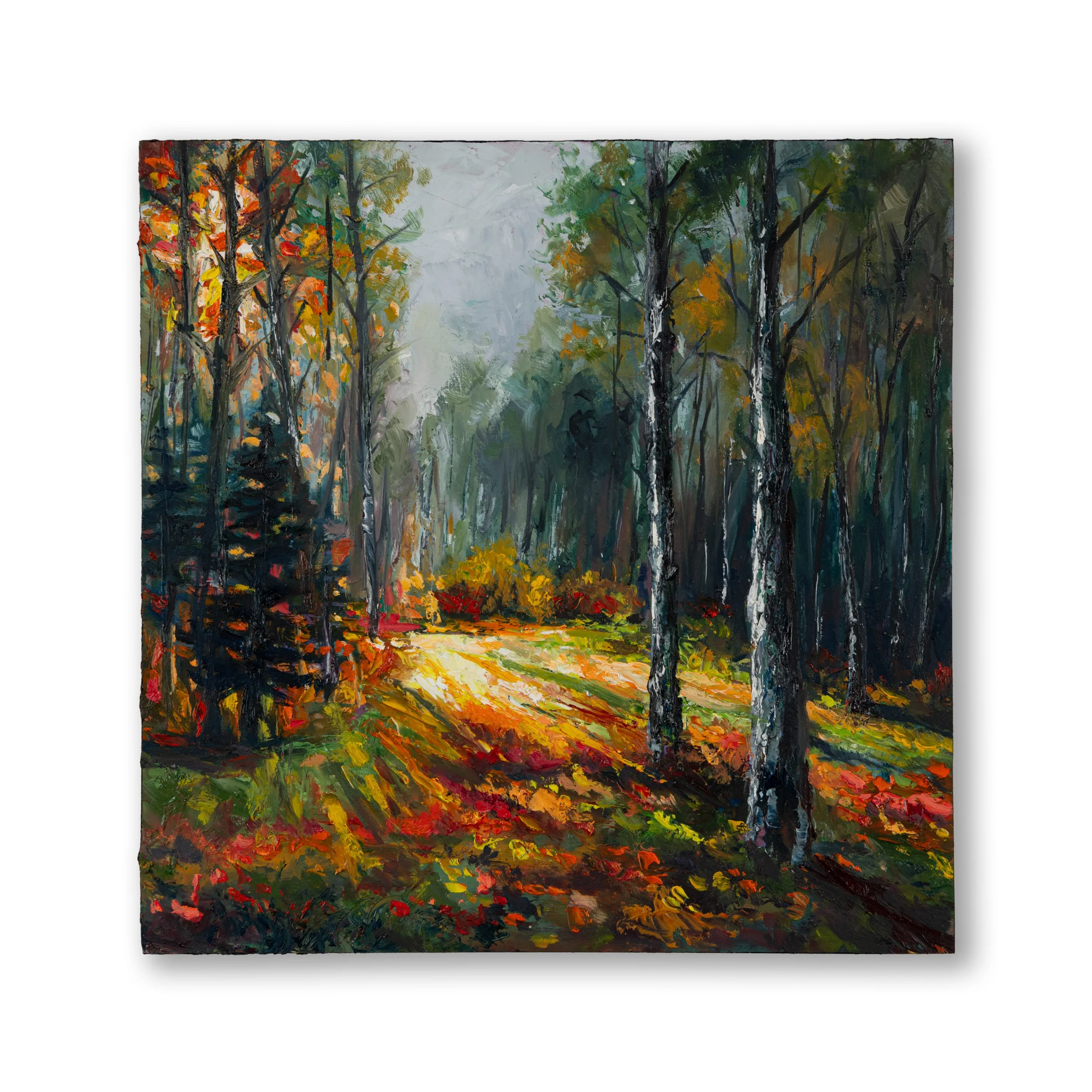 Oil Collection 41
