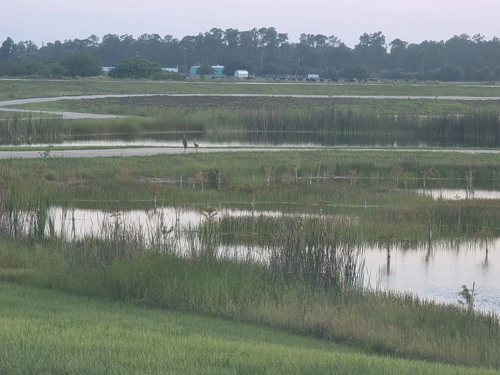 wetland contractor