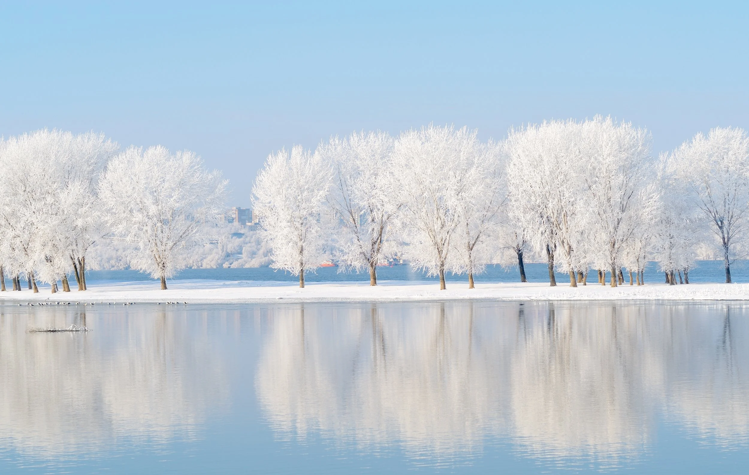 No Classes - Mid-Winter Break