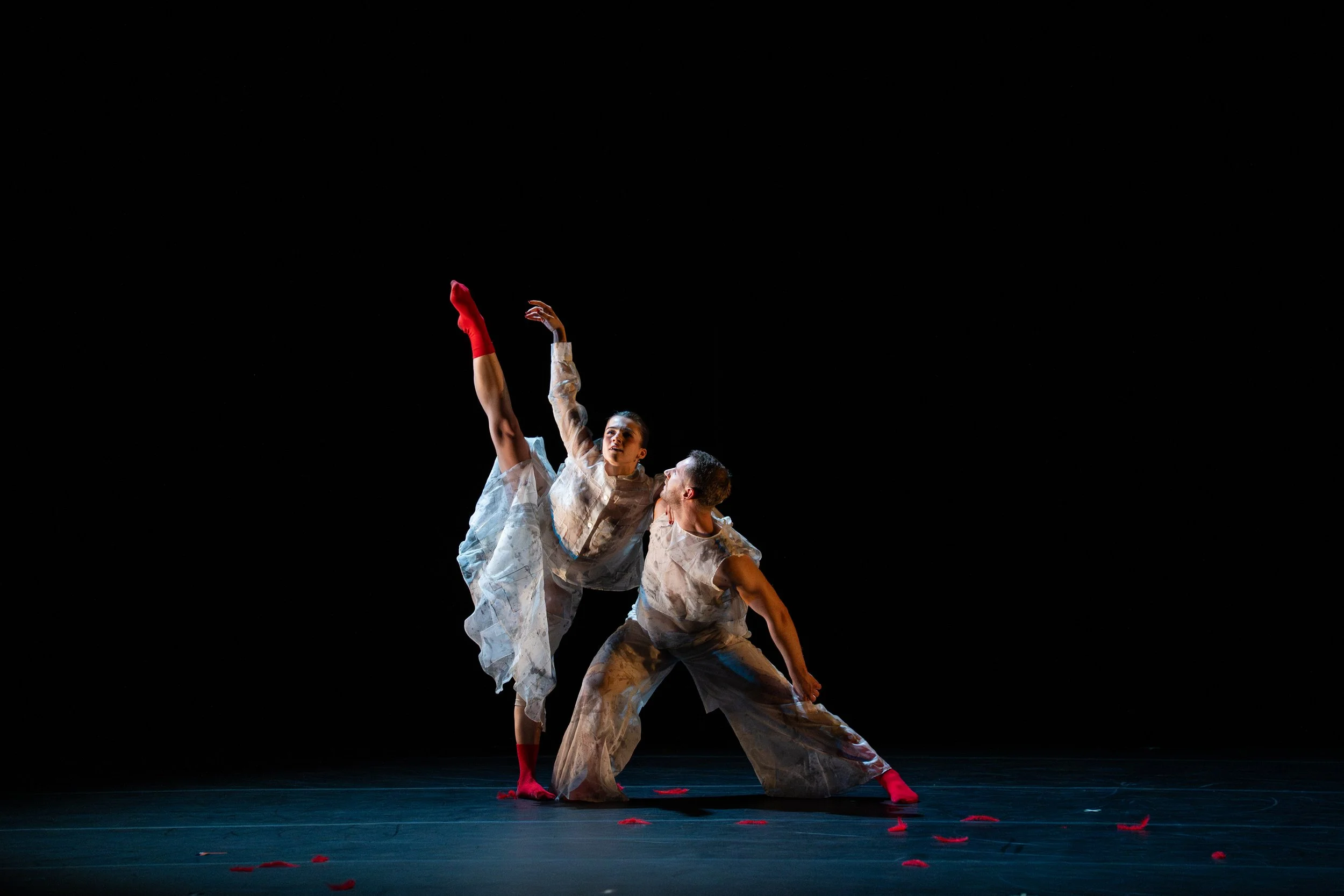 Detroit Metropolitan Dance presents HERE at Schaap Center