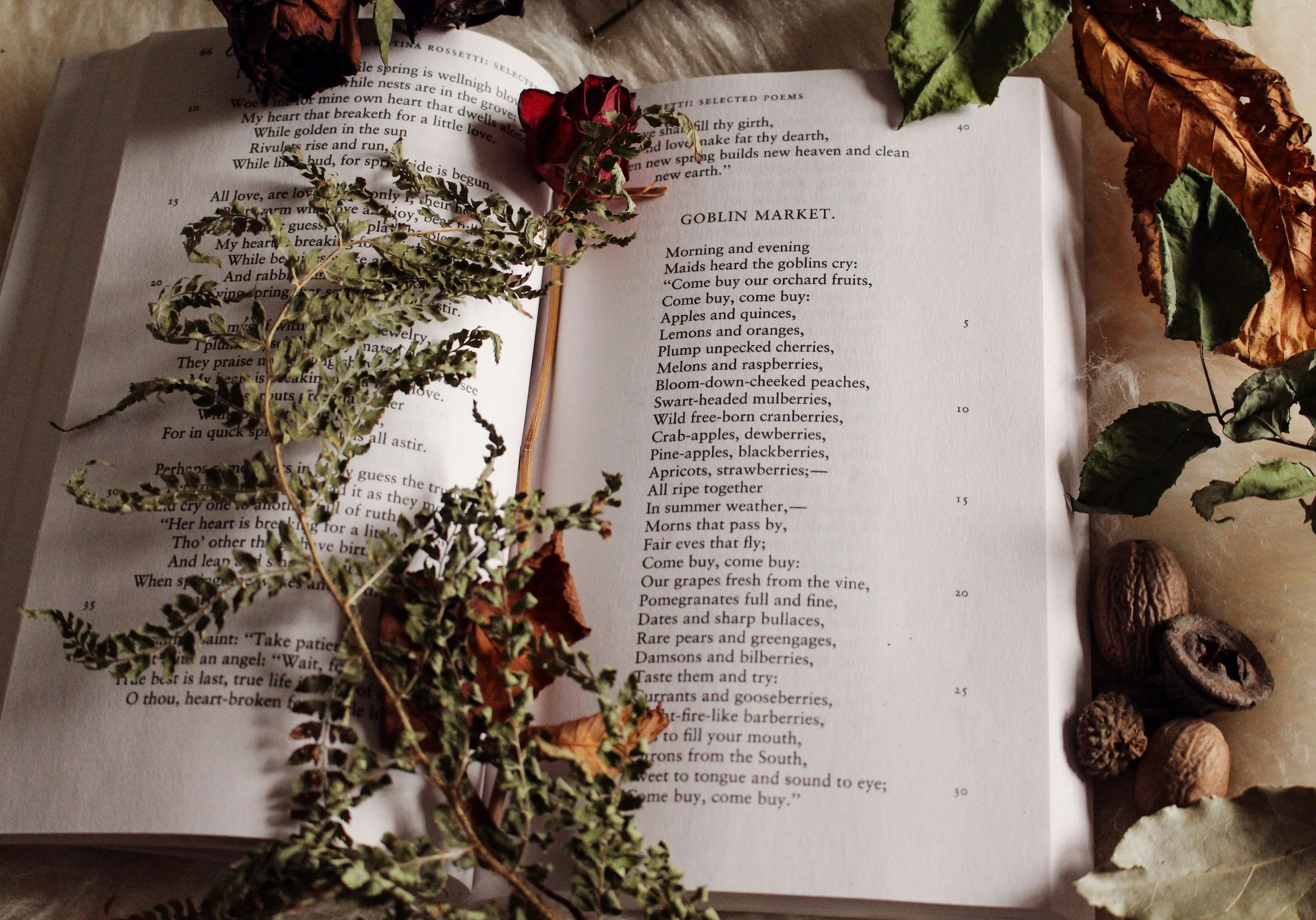 An open book surrounded by dried autumn leaves, a sprig of preserved plant, acorns, and walnuts.
