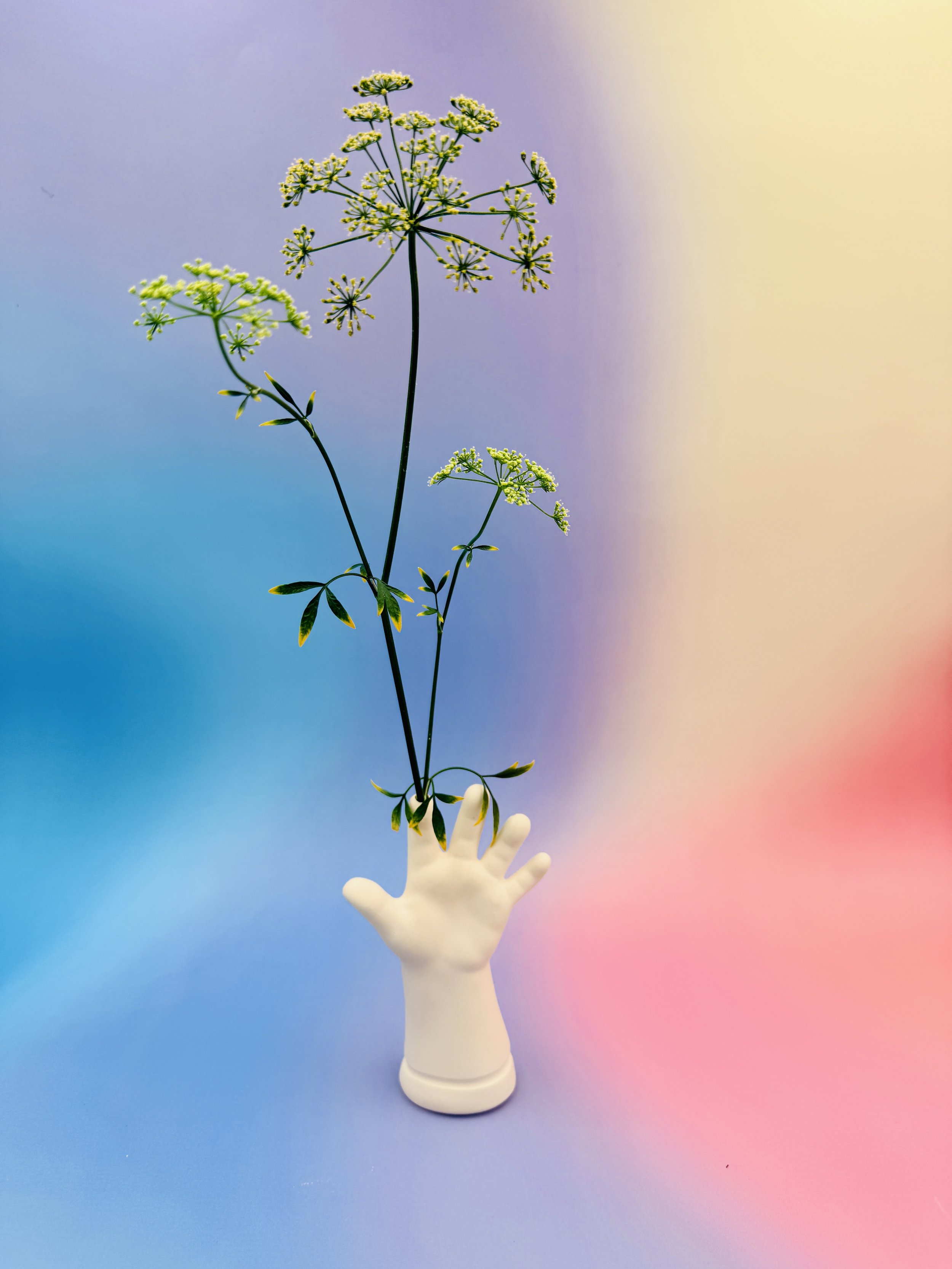 Ceramic Vase in the shape of a hand with a flower sticking out