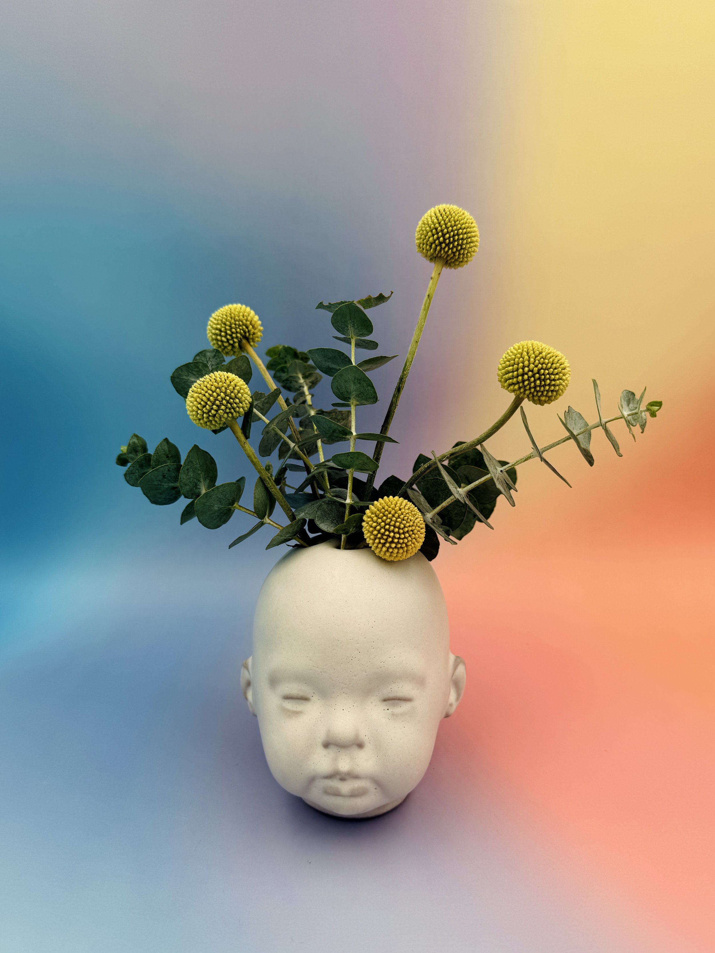 Head with Eucalyptus & Billy Buttons.JPEG