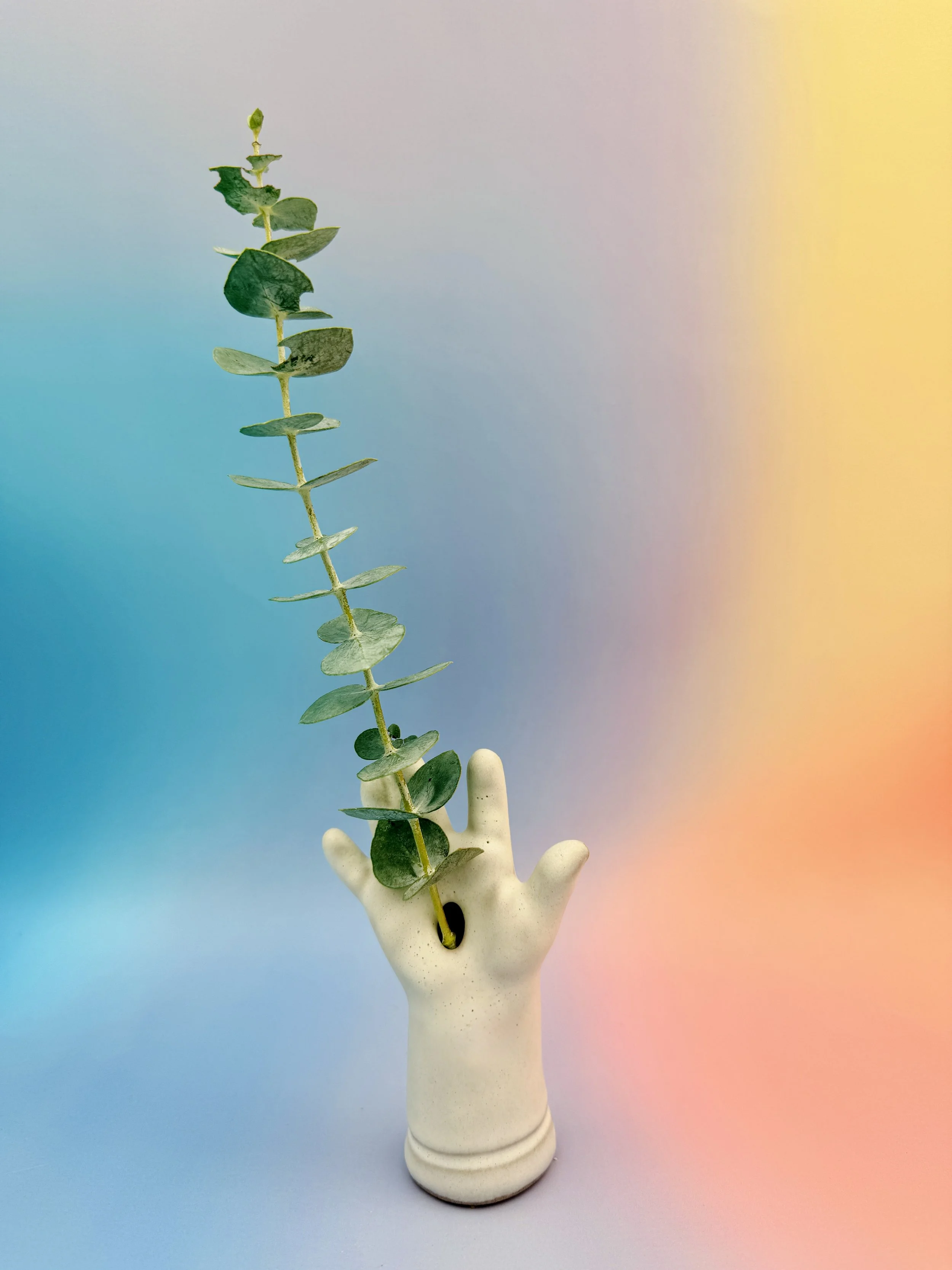 Stigmata Hand with Eucalyptus.JPEG