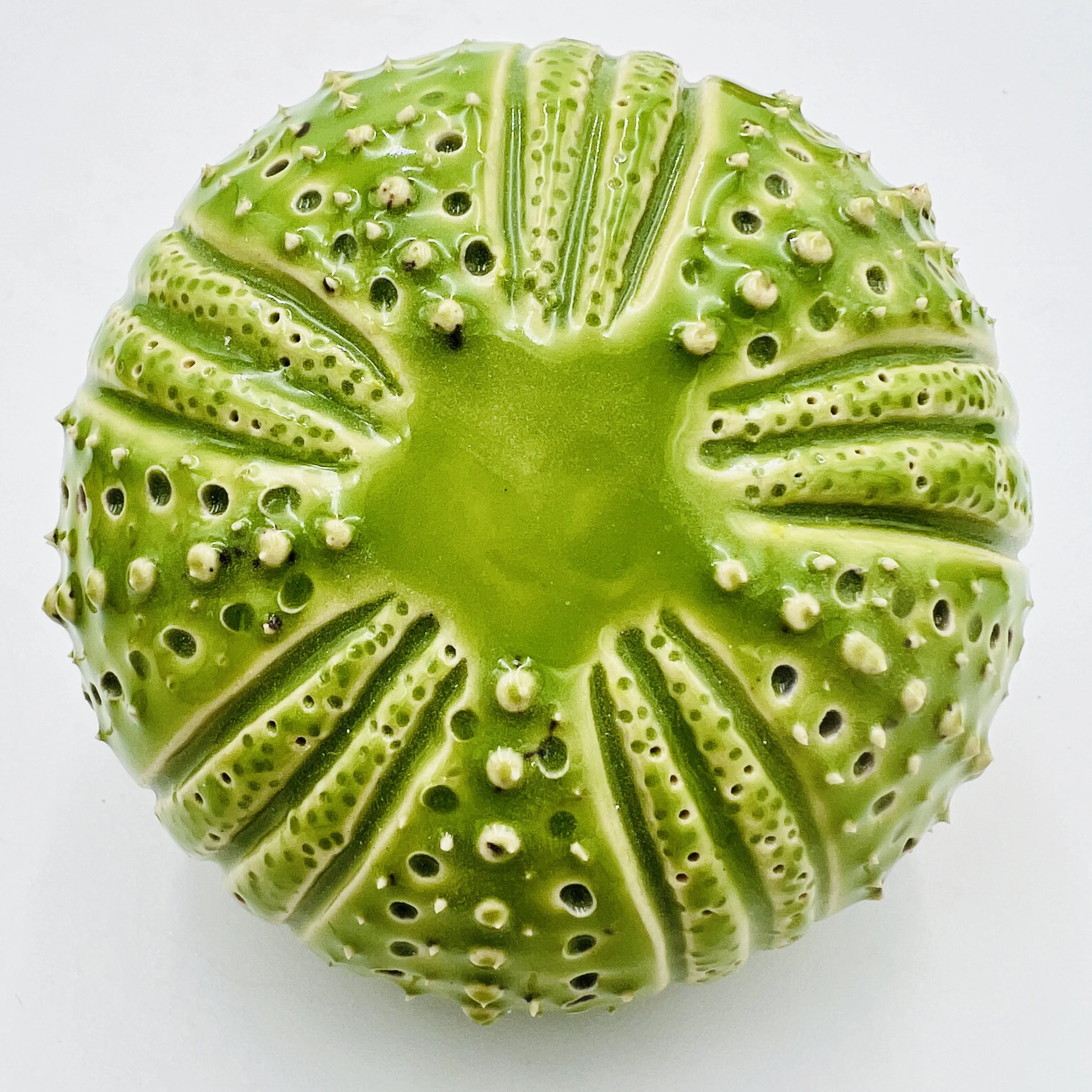An intricately decorated ceramic sea urchin