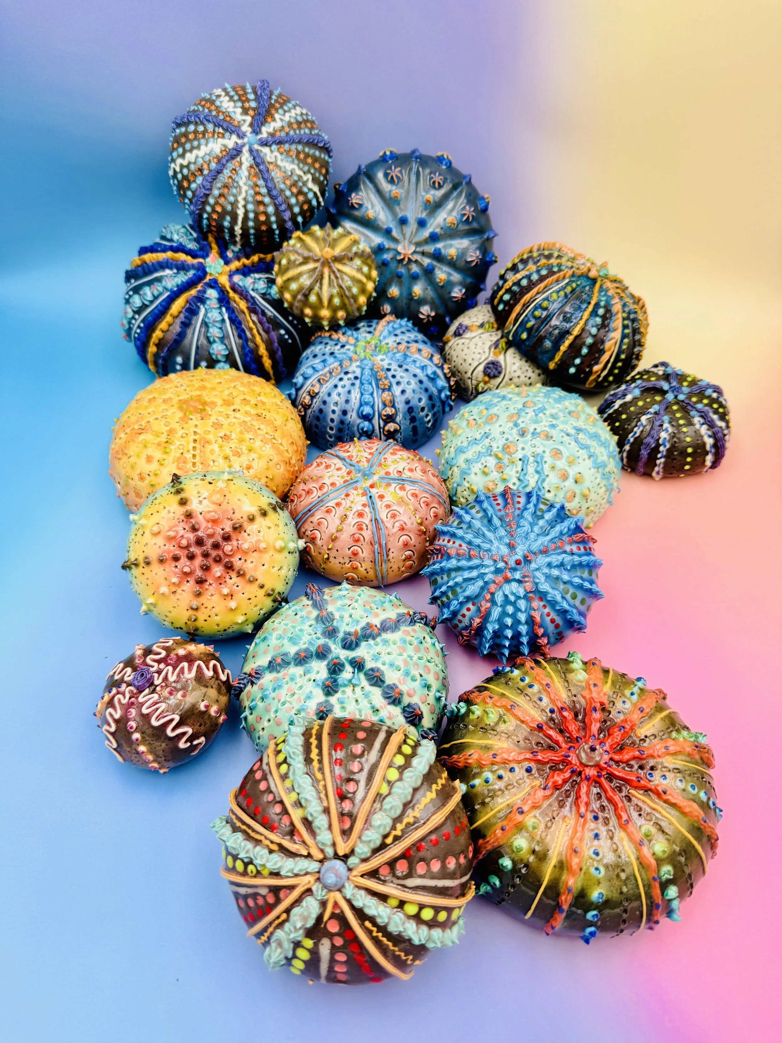 A group of colorful, intricately decorated sea urchin shells arranged on a gradient blue, yellow, and pink background.