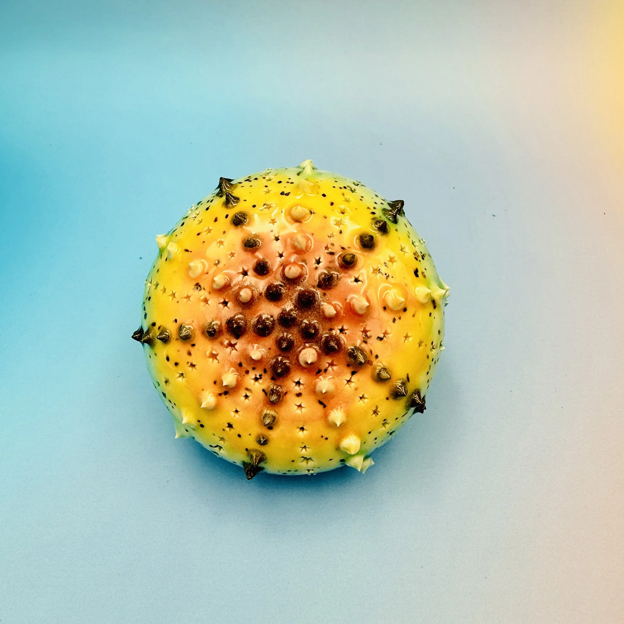 An intricately decorated ceramic sea urchin