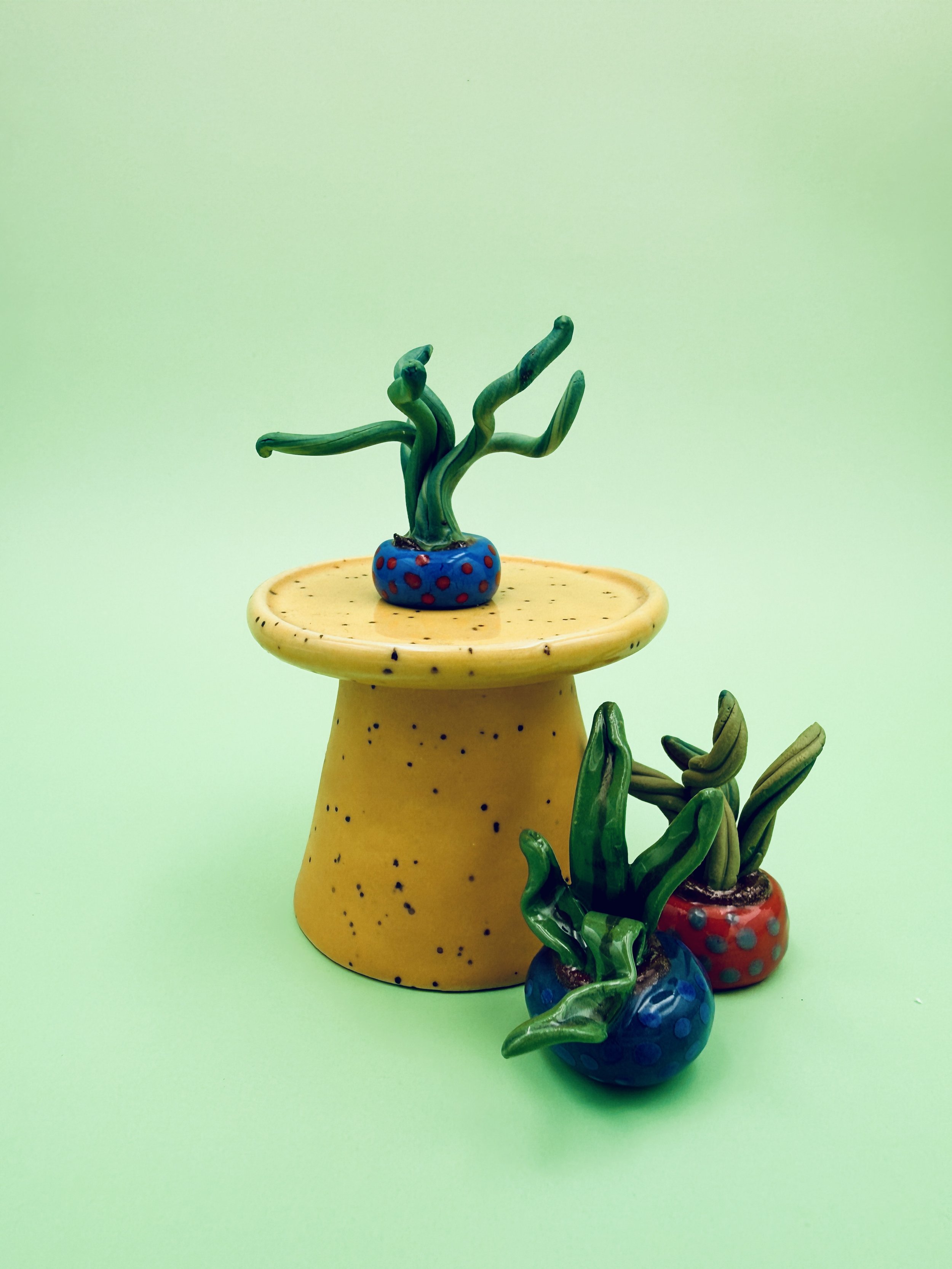 ceramic miniature potted plants in colorful pots