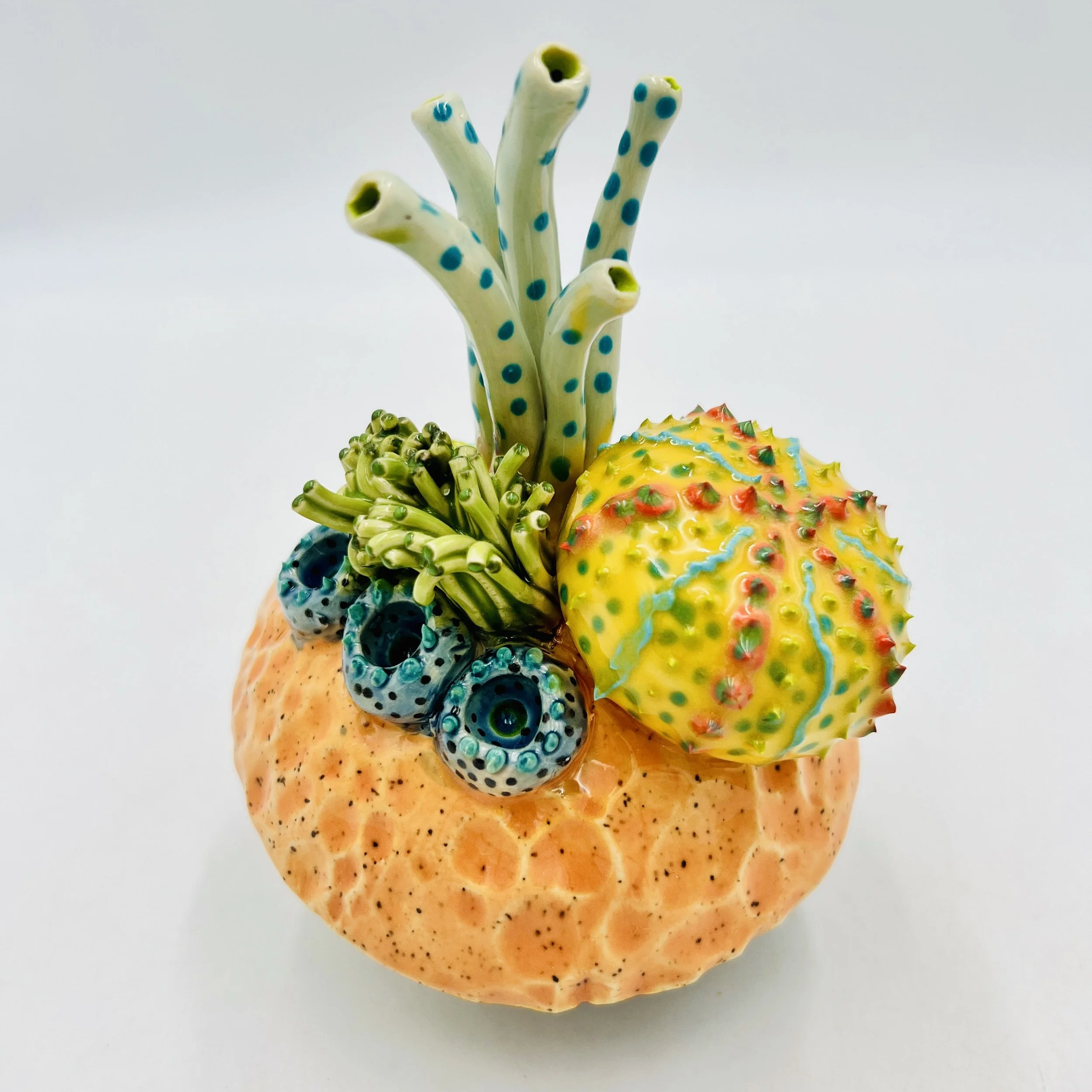 Colorful, textured clay sculptures resembling coral reefs arranged on a gradient background. Each piece has vibrant, intricate details, evoking a sense of ocean life.