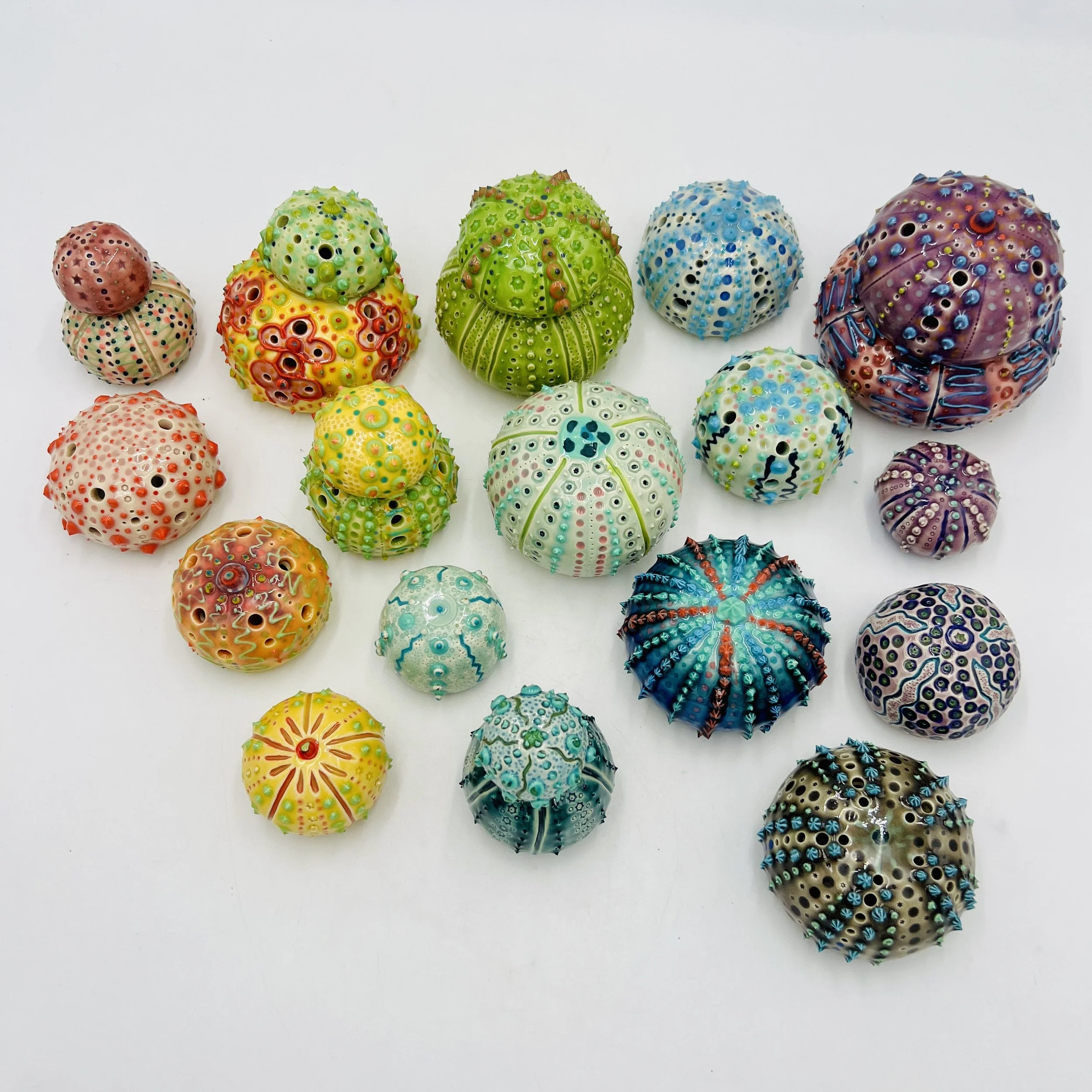 A group of colorful, intricately decorated sea urchin shells arranged on a gradient blue, yellow, and pink background.