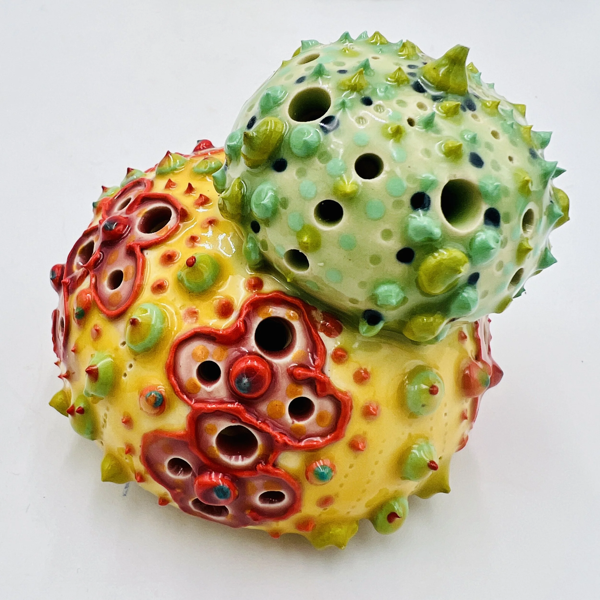 A group of colorful, intricately decorated sea urchin shells arranged on a gradient blue, yellow, and pink background.